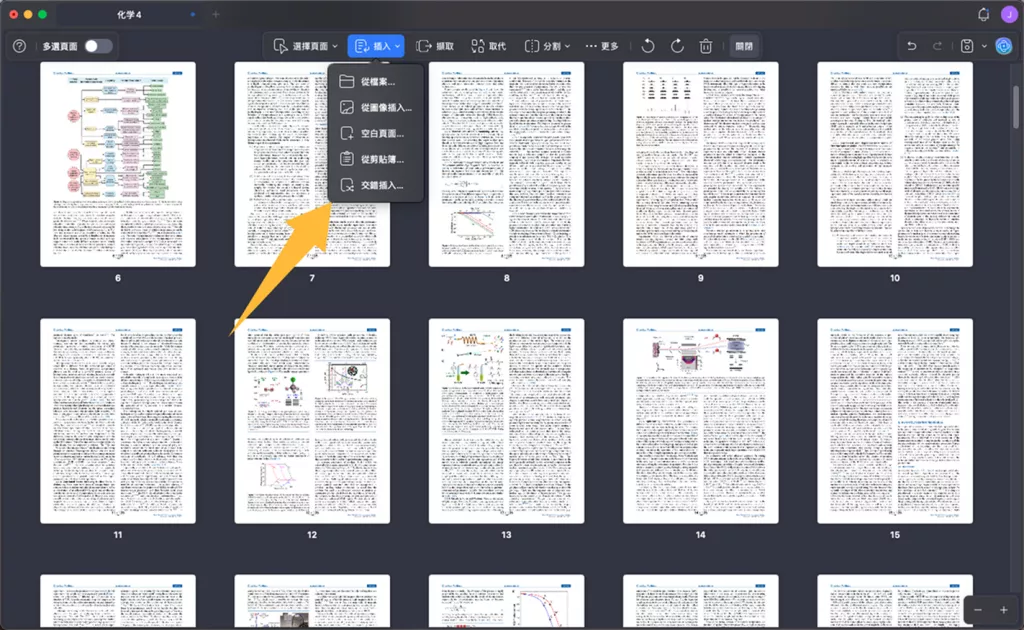將頁面插入 PDF 文件