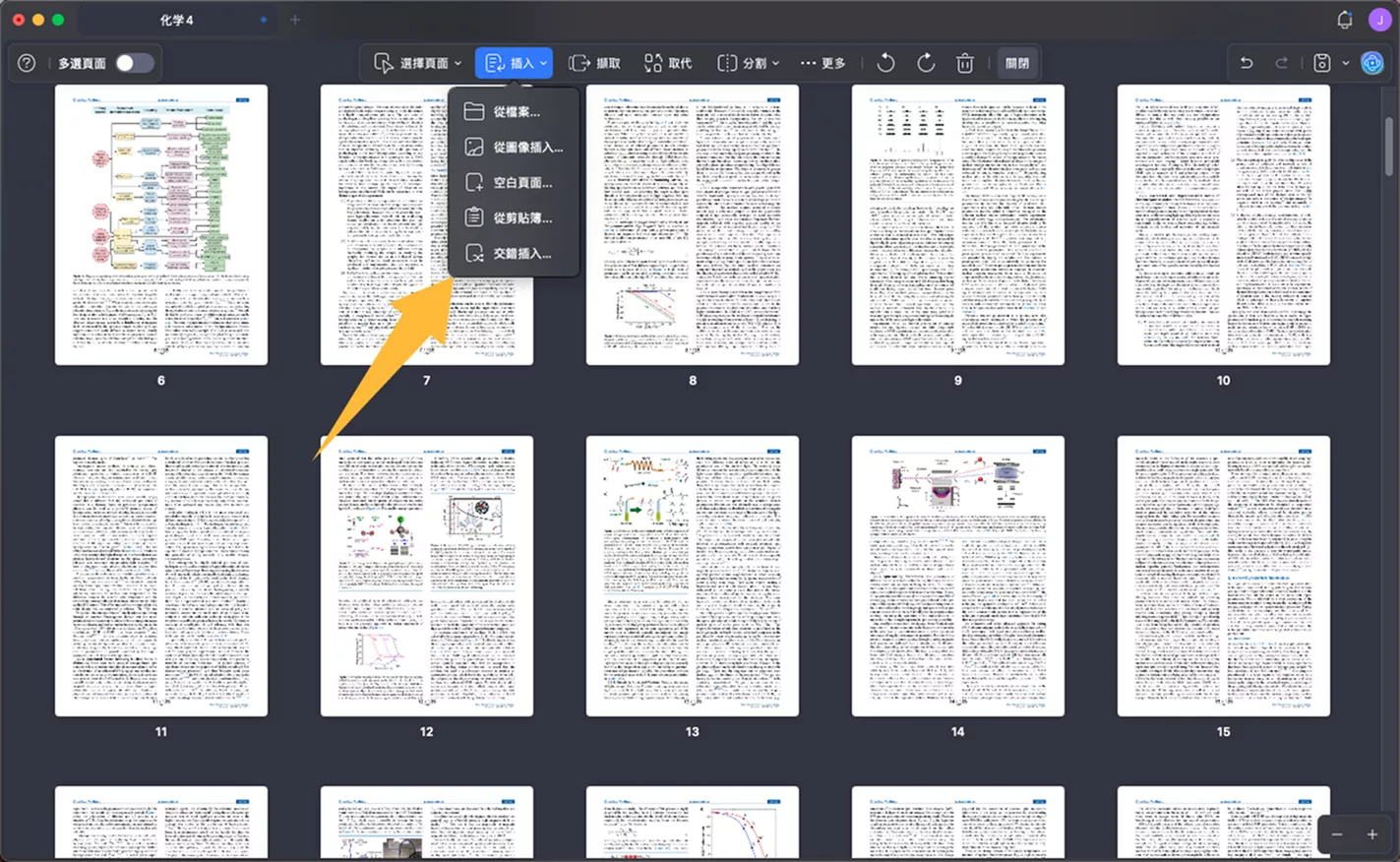 將頁面插入 PDF 文件