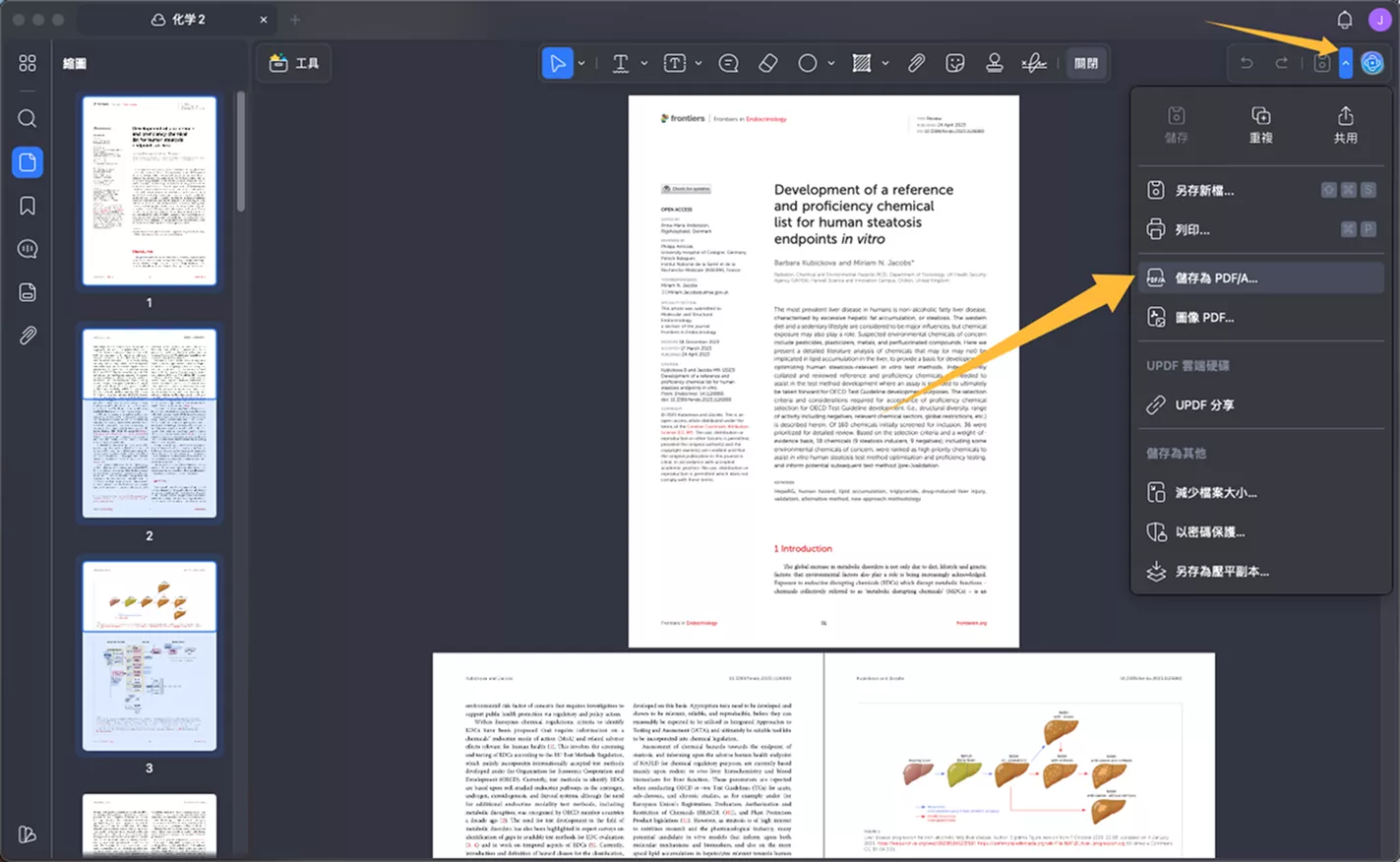 將 PDF 儲存為 PDF/A