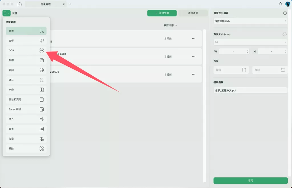 批量 OCR 功能