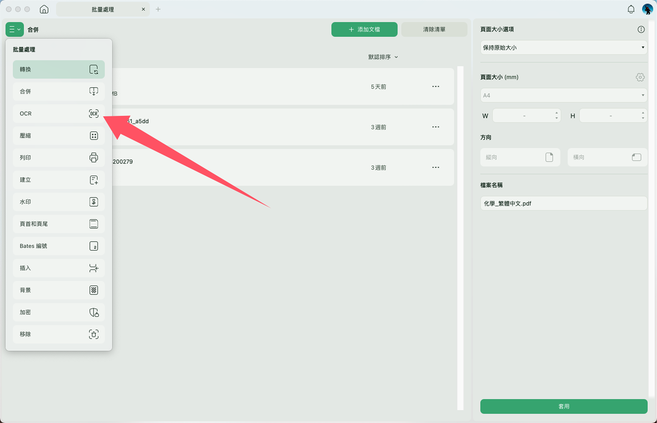 批量 OCR 功能