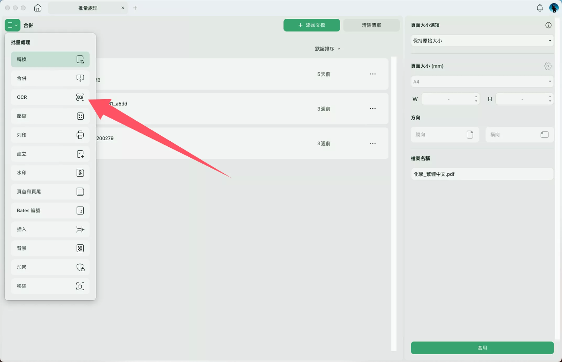 批量 OCR 功能