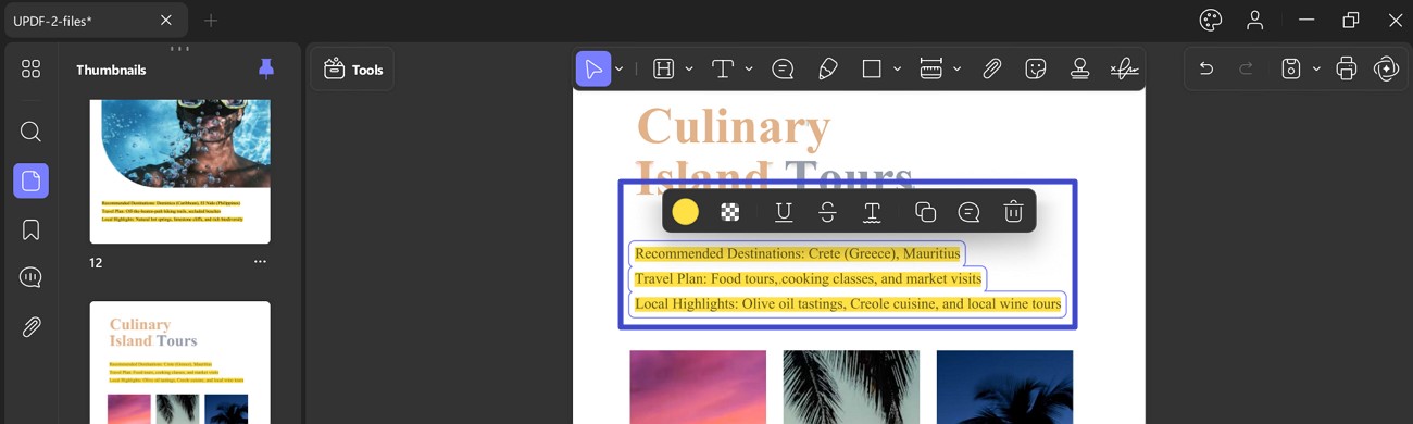 zvýraznění textu v PDF
