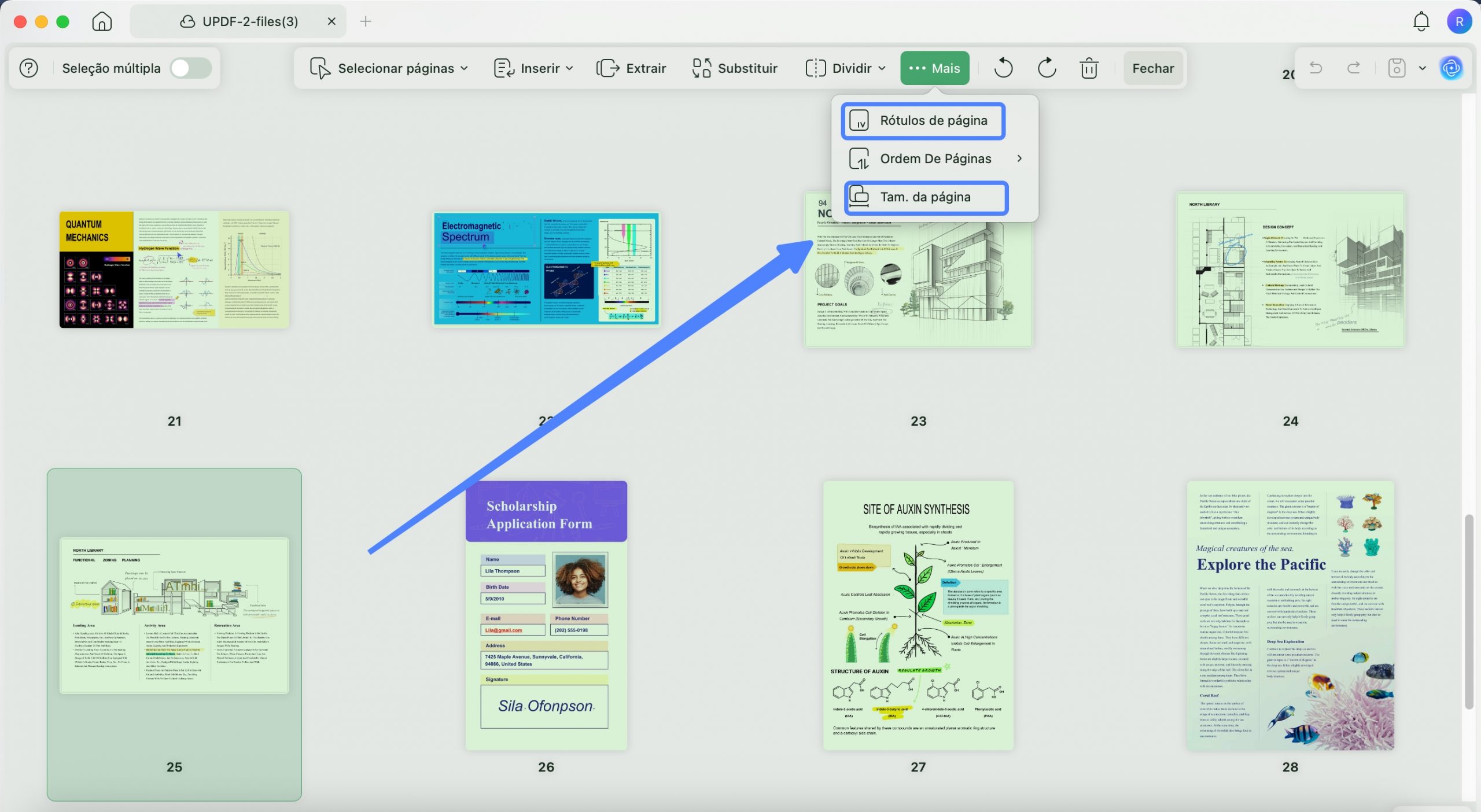 Page lable and page size with updf mac 2