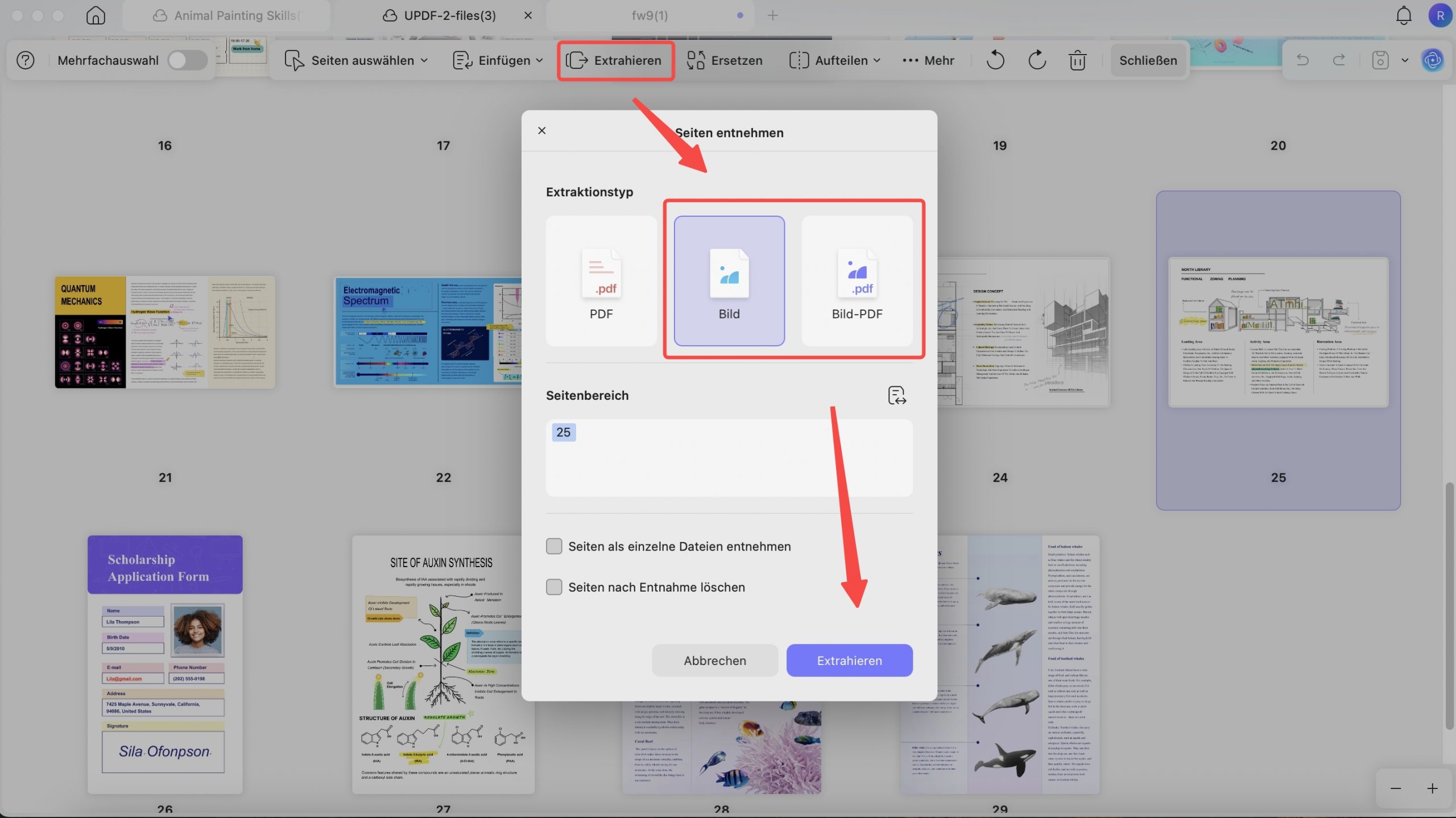 Extrahieren von Seiten als Bilddateien oder bildbasierte PDF