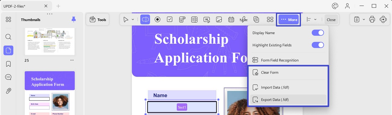 Borrar o importar los datos del formulario updf windows 2
