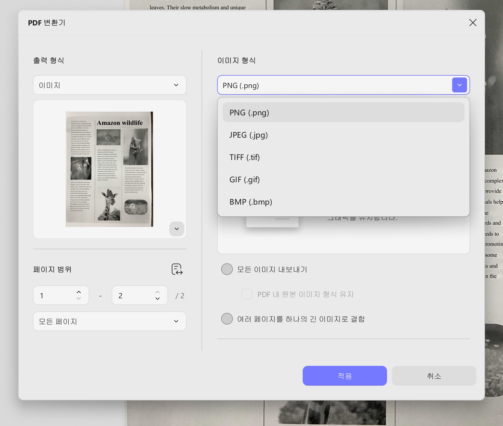 이미지 변환 updf windows 2를 위한 레이아웃 설정.