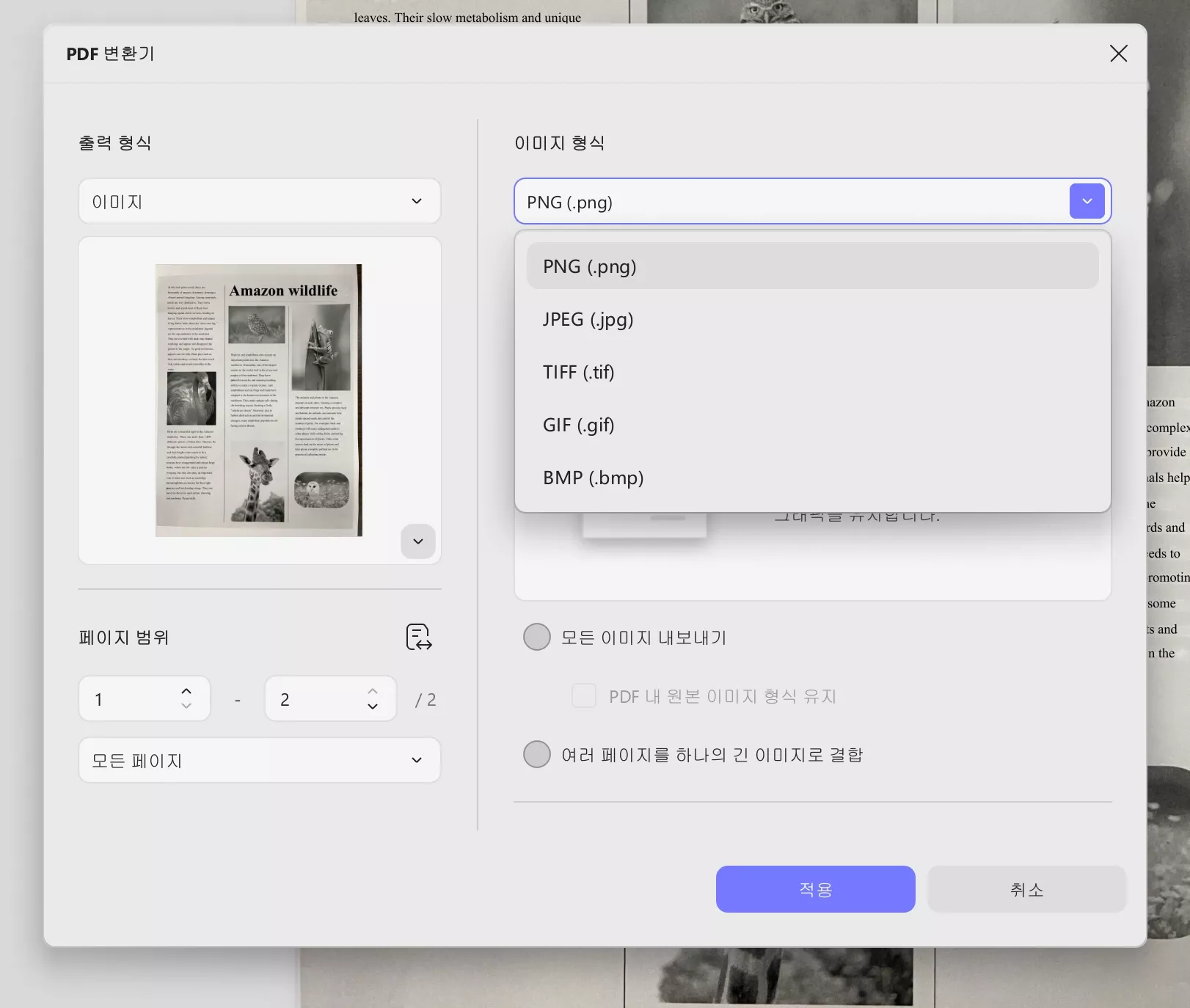 이미지 변환 updf windows 2를 위한 레이아웃 설정.