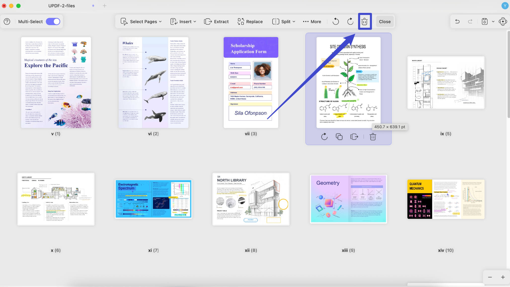 pagina's verwijderen updf mac