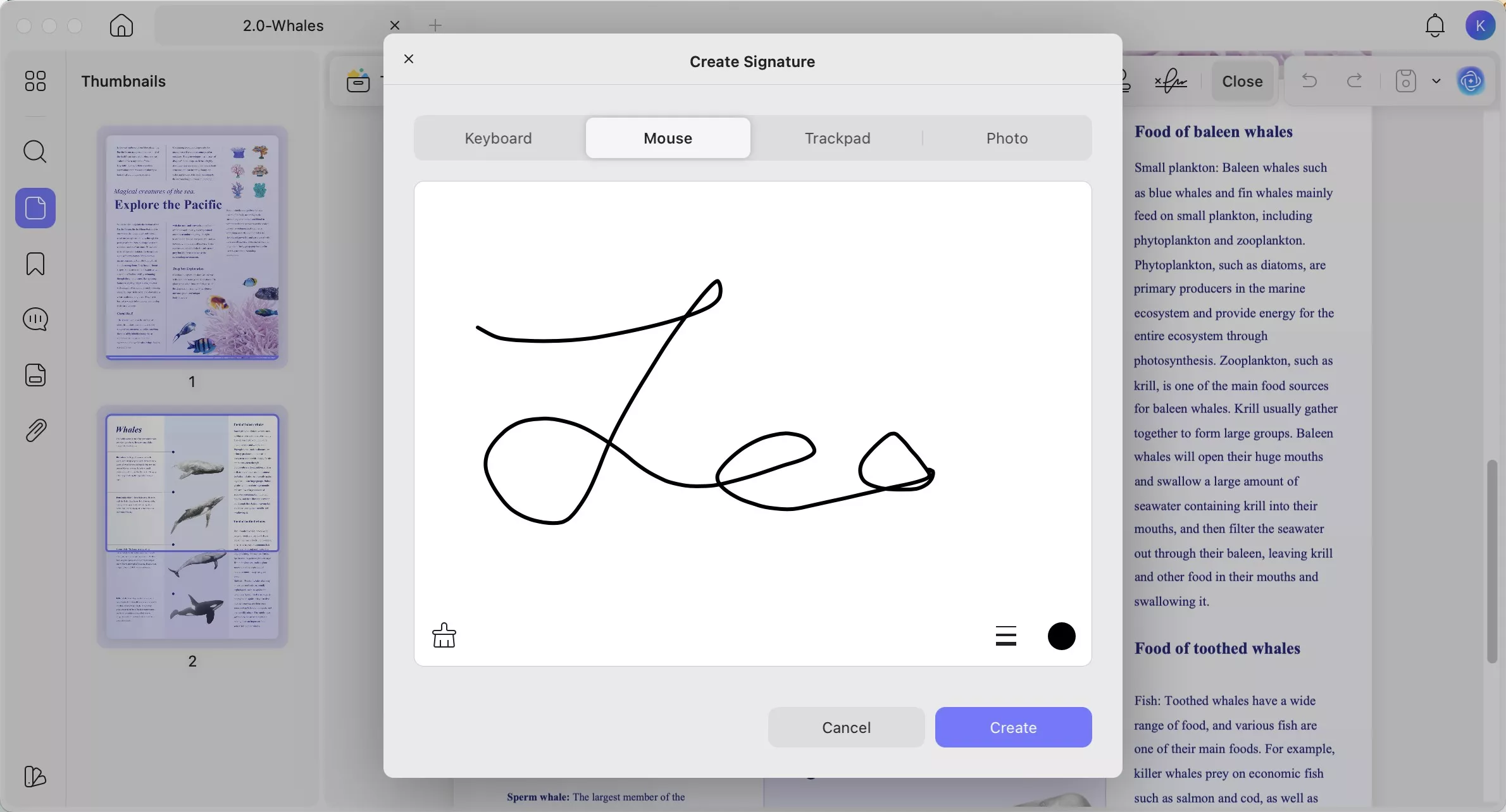 draw signature by mouse