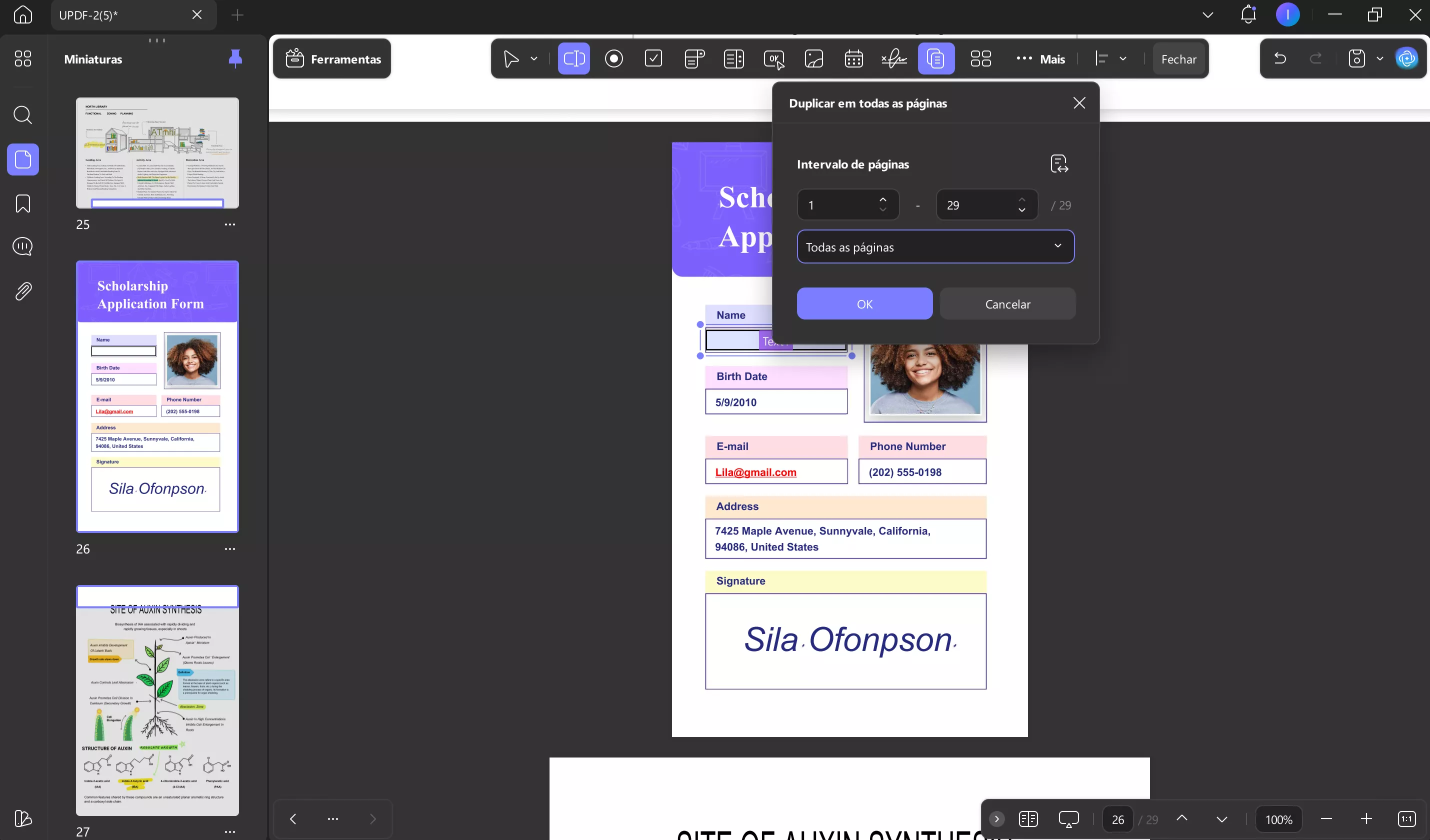 clique em ok para duplicar entre páginas updf windows