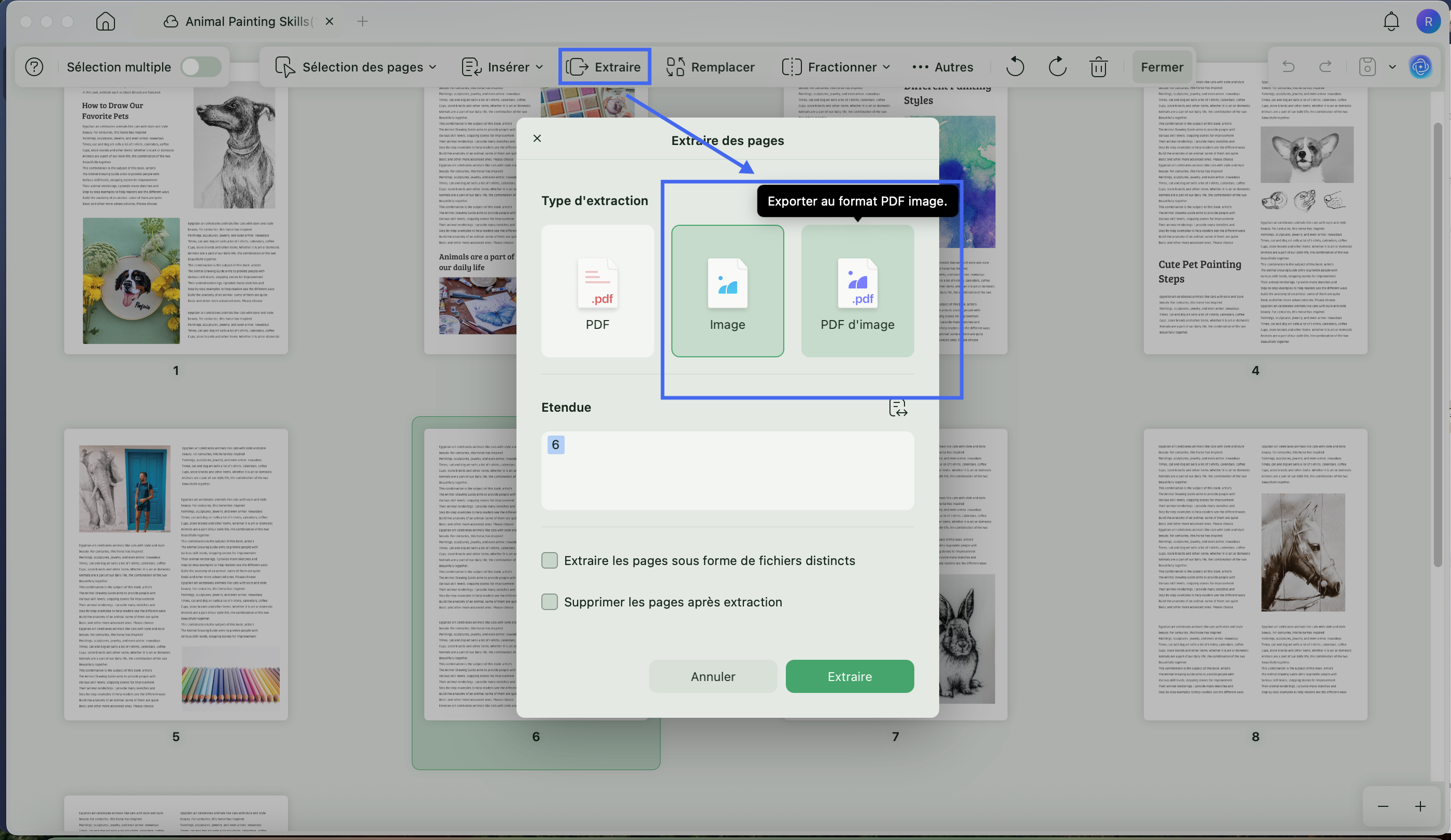 Extract pages as image files or image based PDF