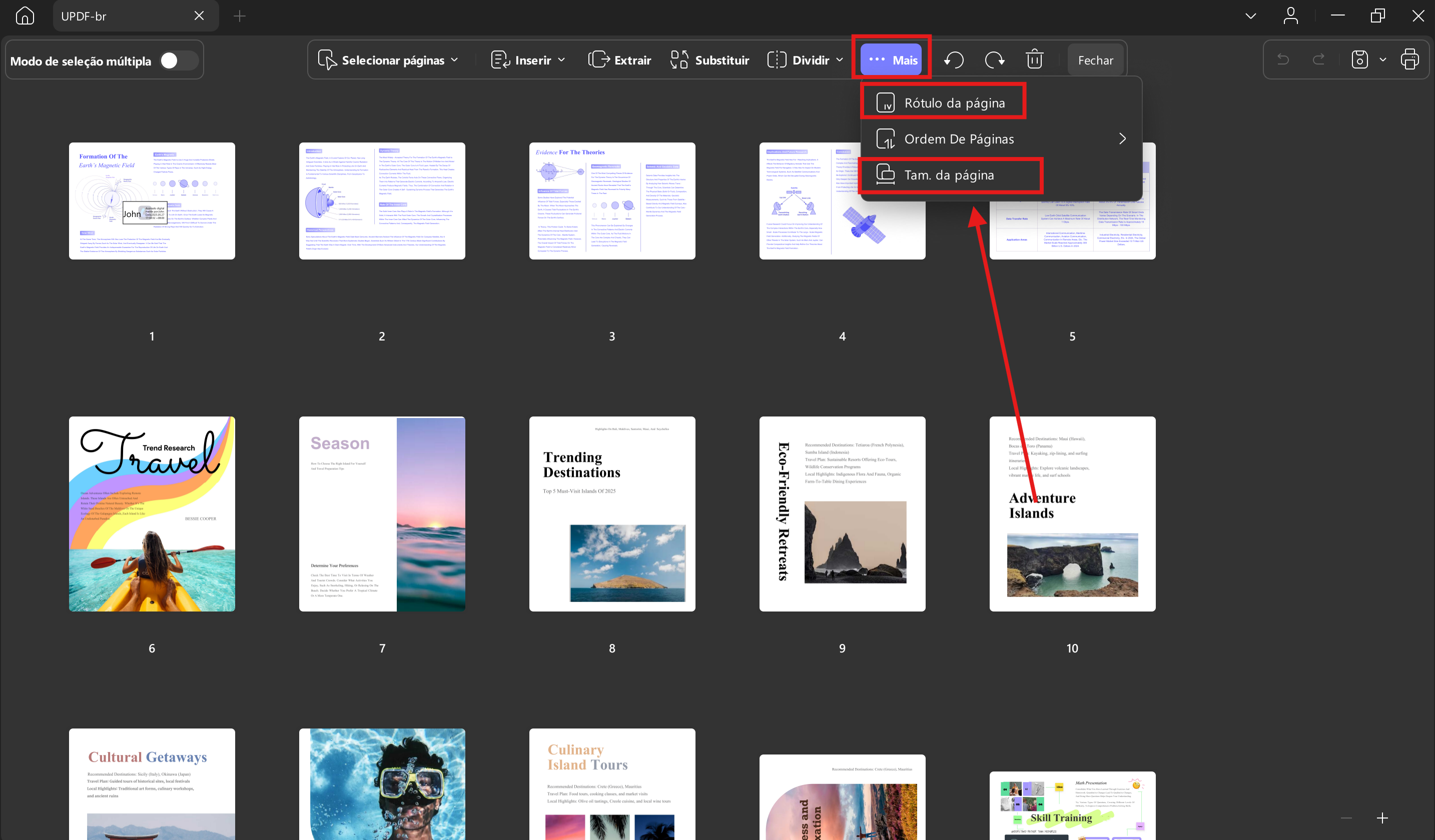 Page lable and page size with updf windows 2