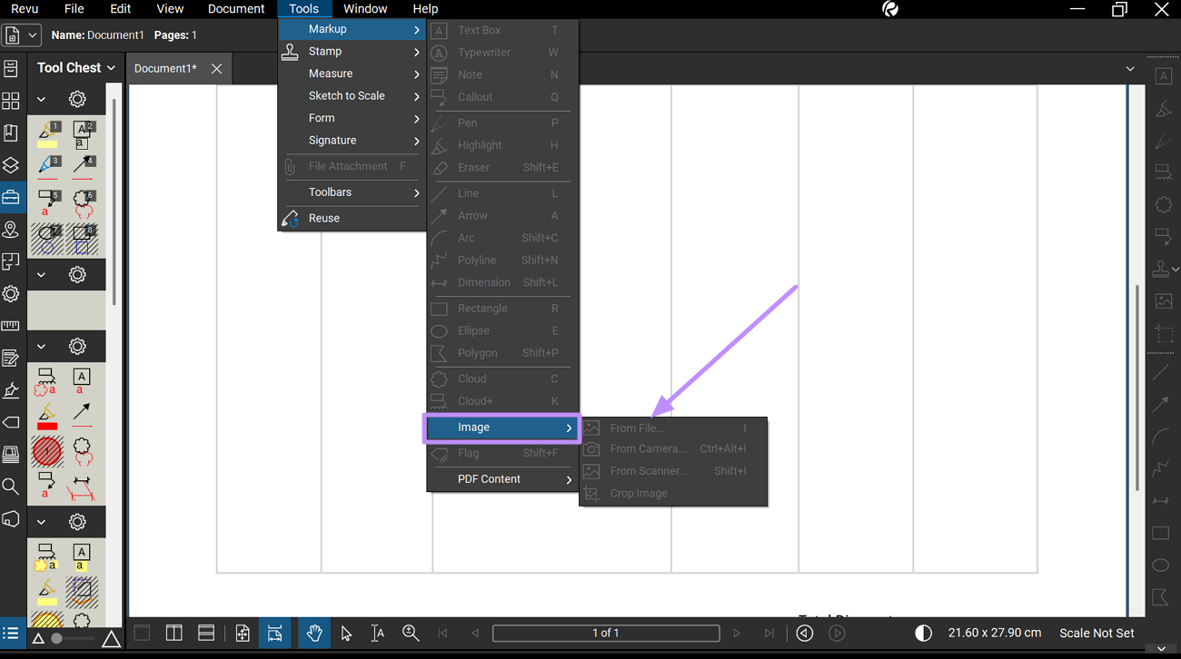 insert image using bluebeam