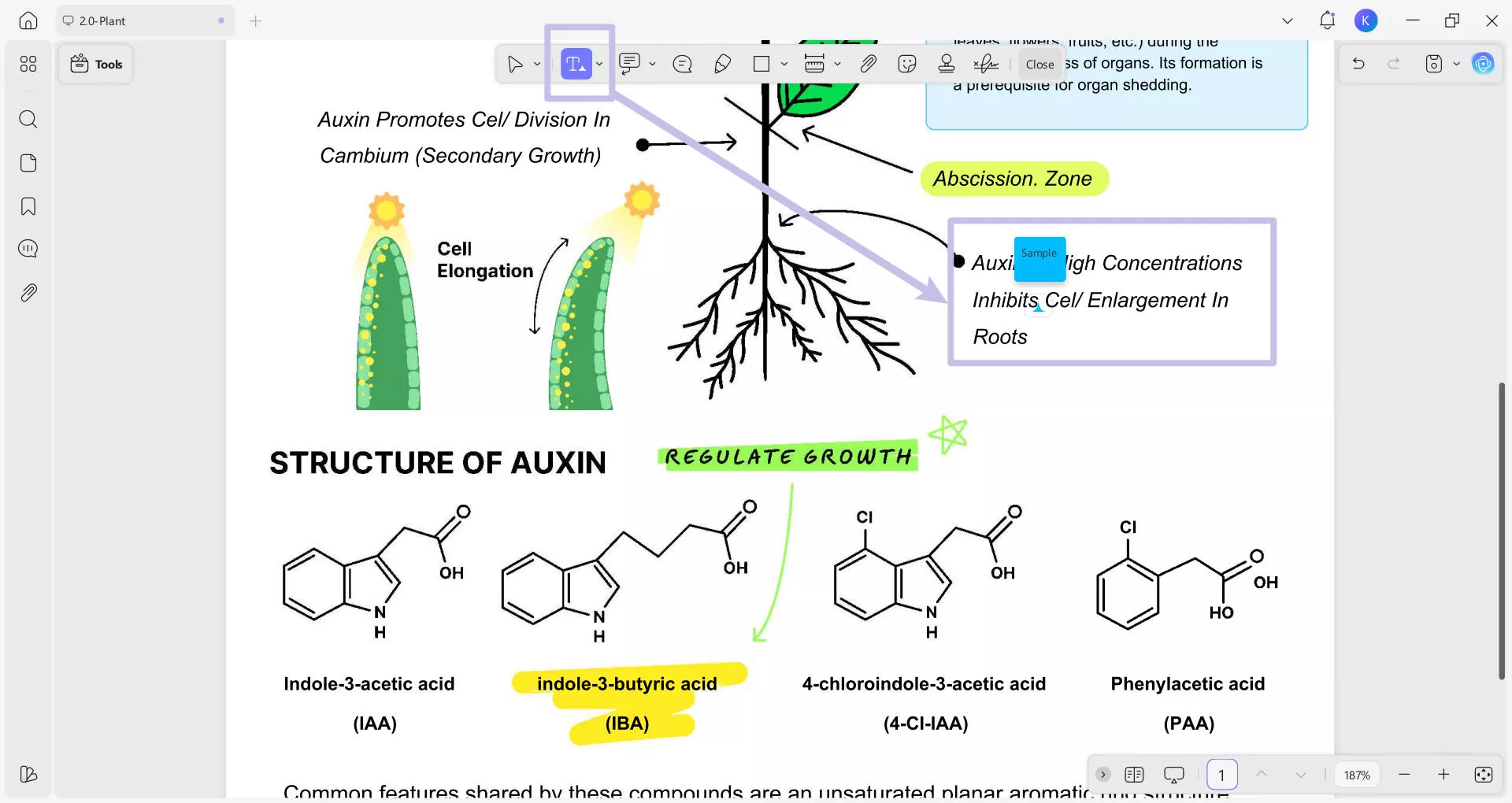 insert text annotation