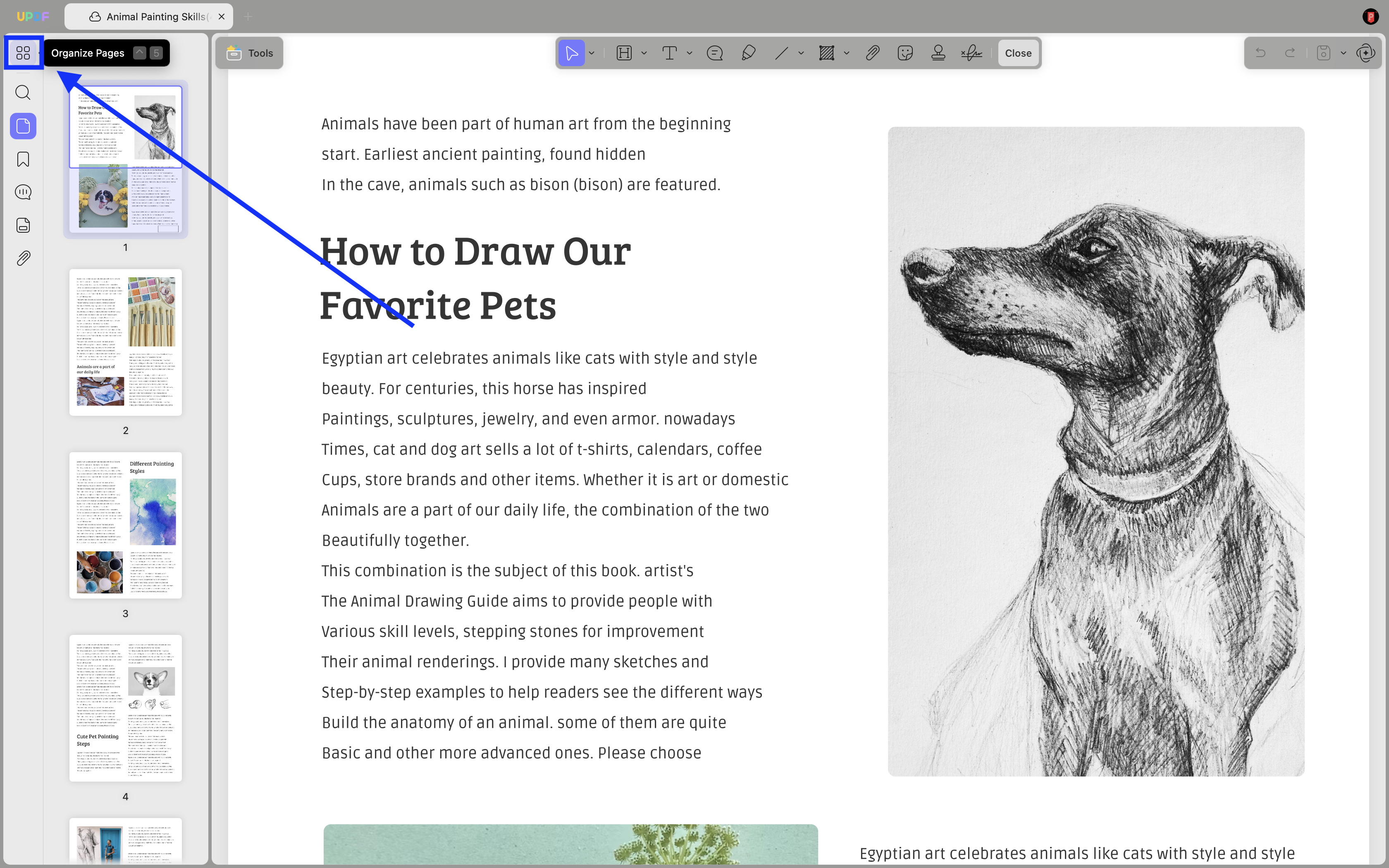 organize page