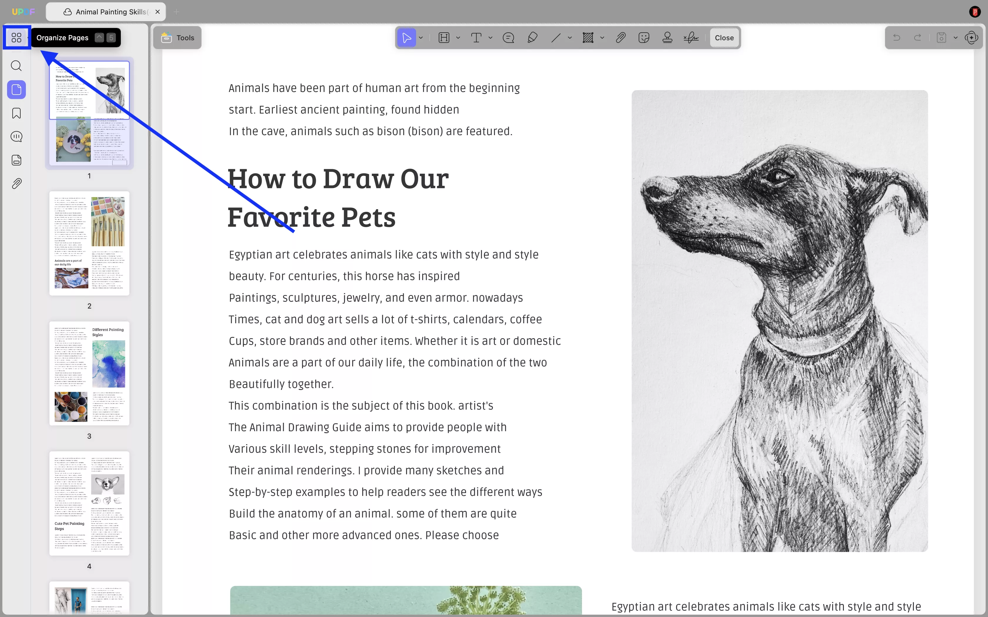 organize pages updf mac