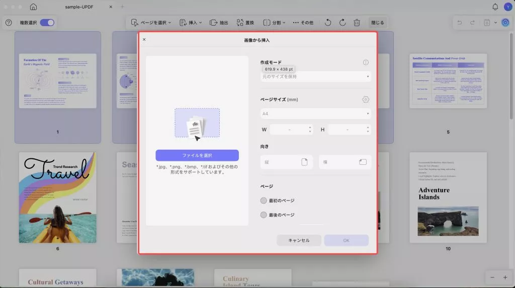 画像から挿入(UPDF、Mac)