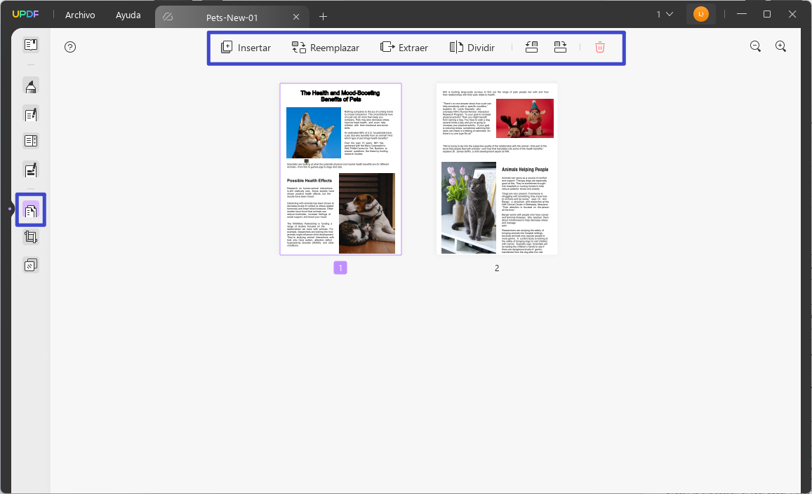 organizar las páginas pdf updf windows