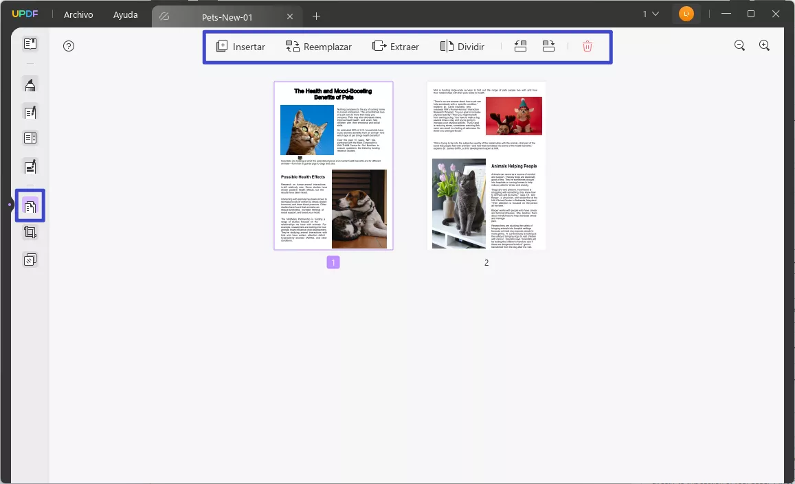 organizar las páginas pdf updf windows