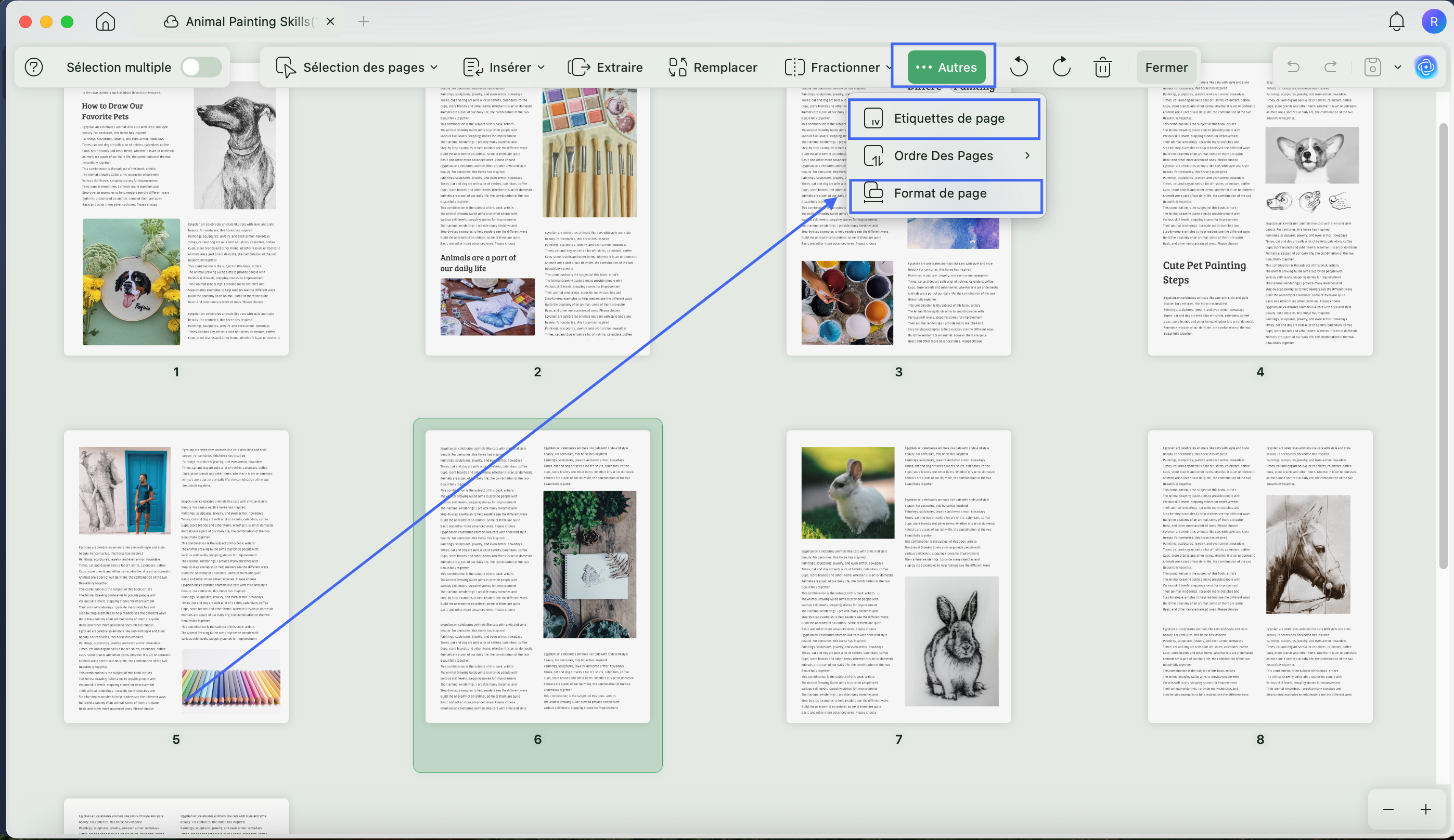 Page lable and page size with updf mac 2
