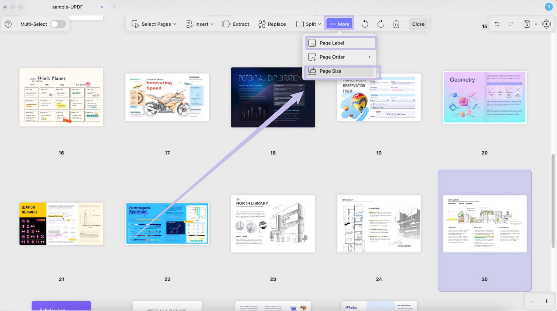 Page lable and page size with updf mac 2