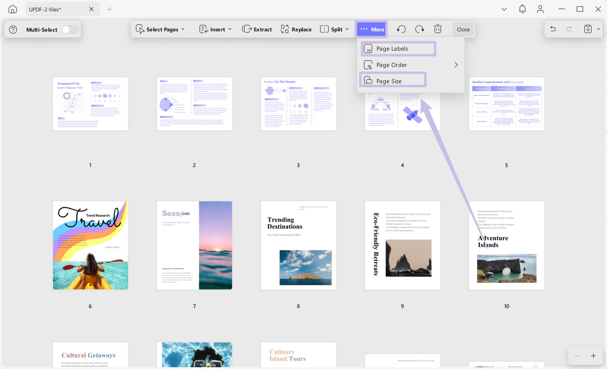 Page lable and page size with updf windows 2
