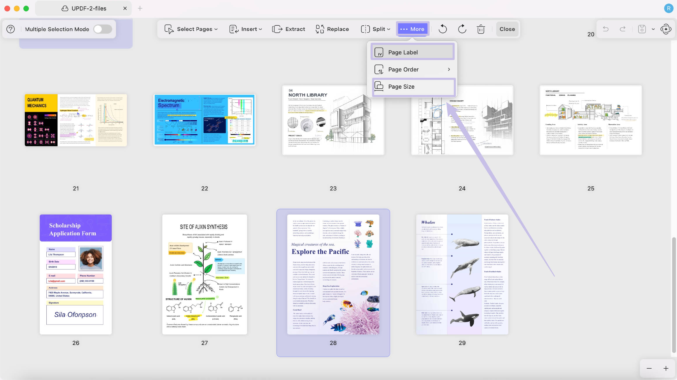 select page label or page size updf 2 mac