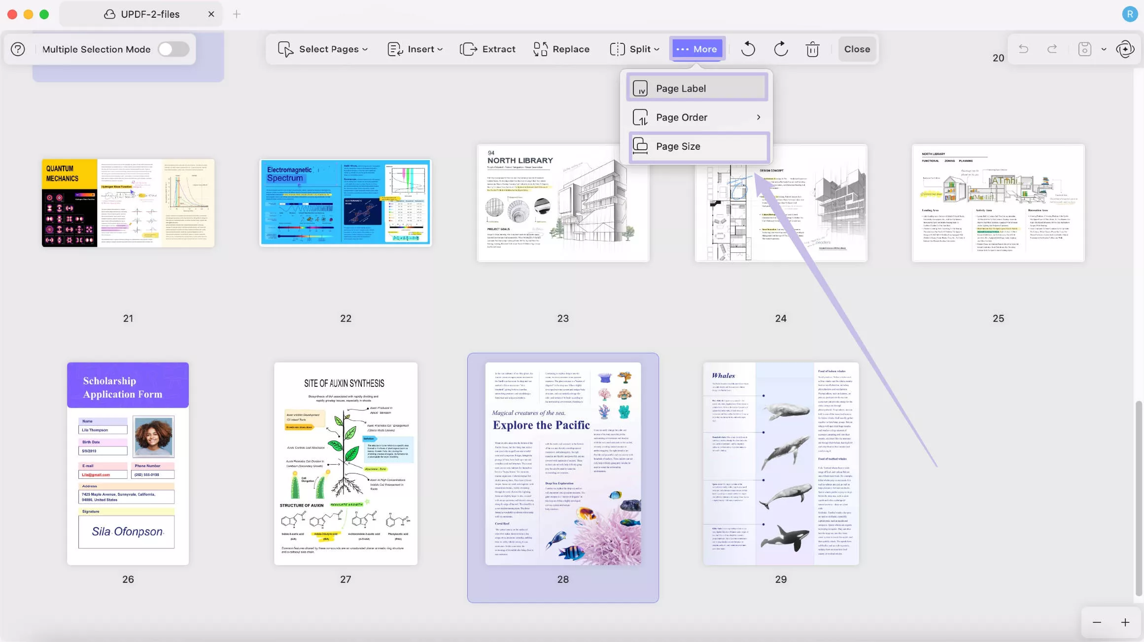 select page label or page size updf 2 mac