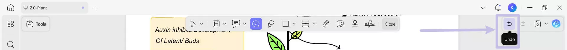 undo or delete annotations created