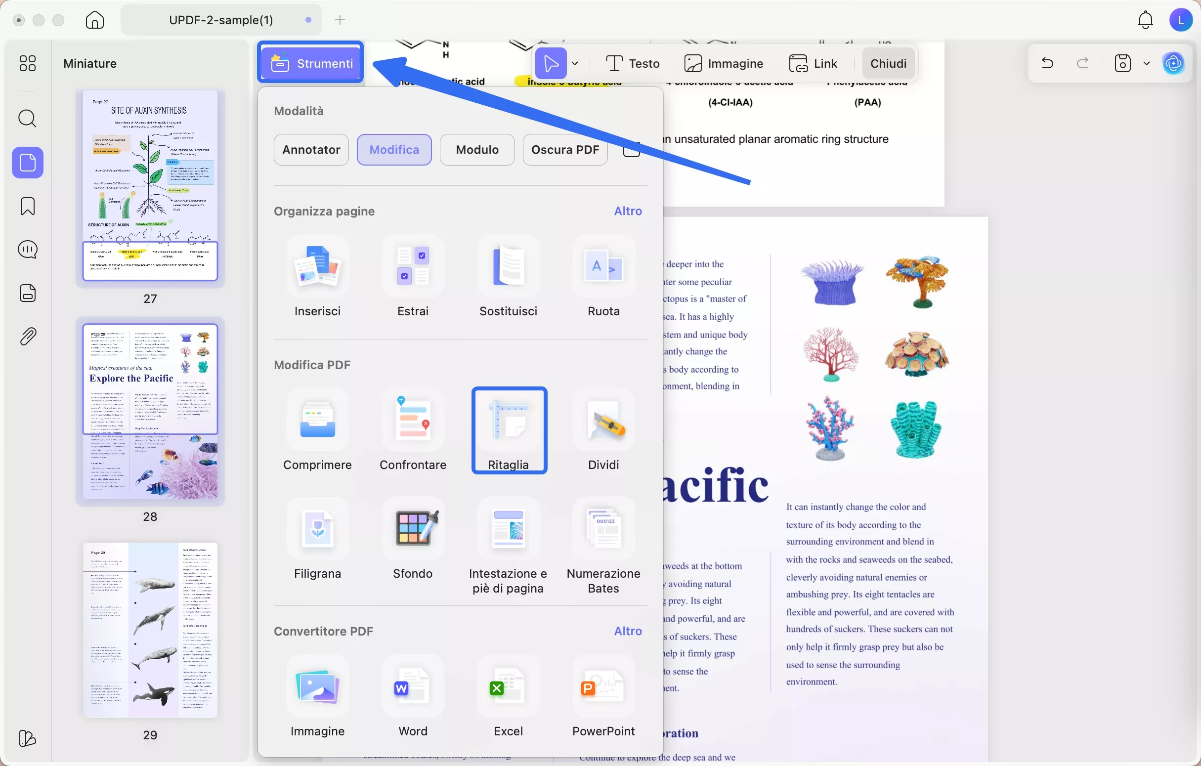 select crop from toolbar  