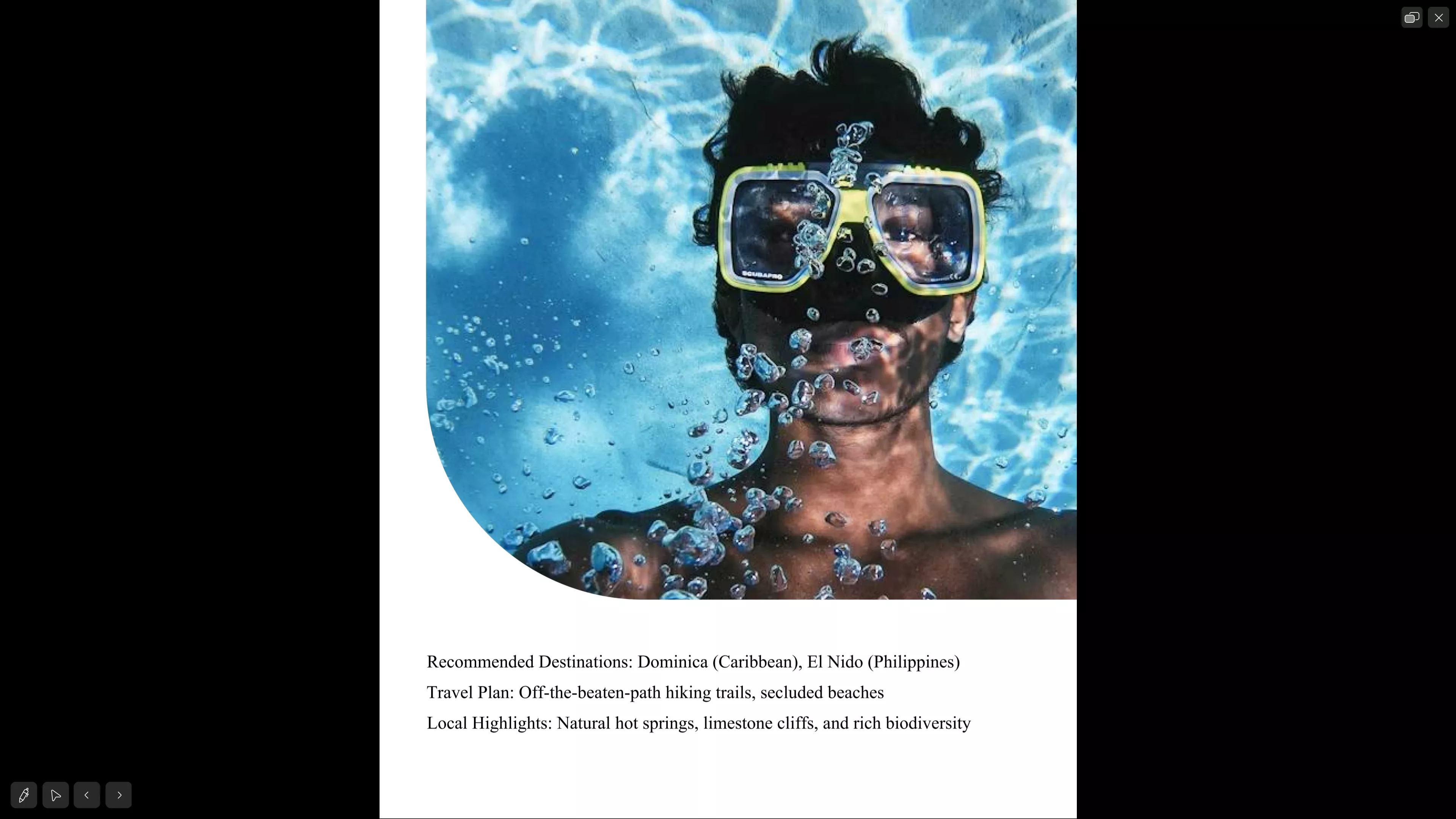 عرض ملفات PDF
