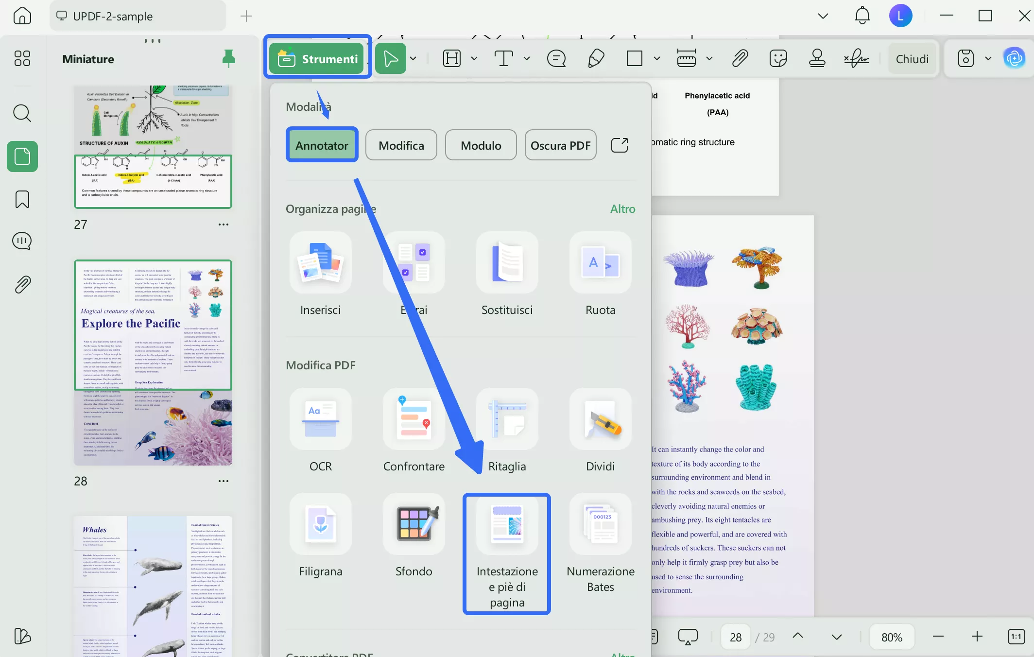 Aggiungi Intestazione e Piè di Pagina