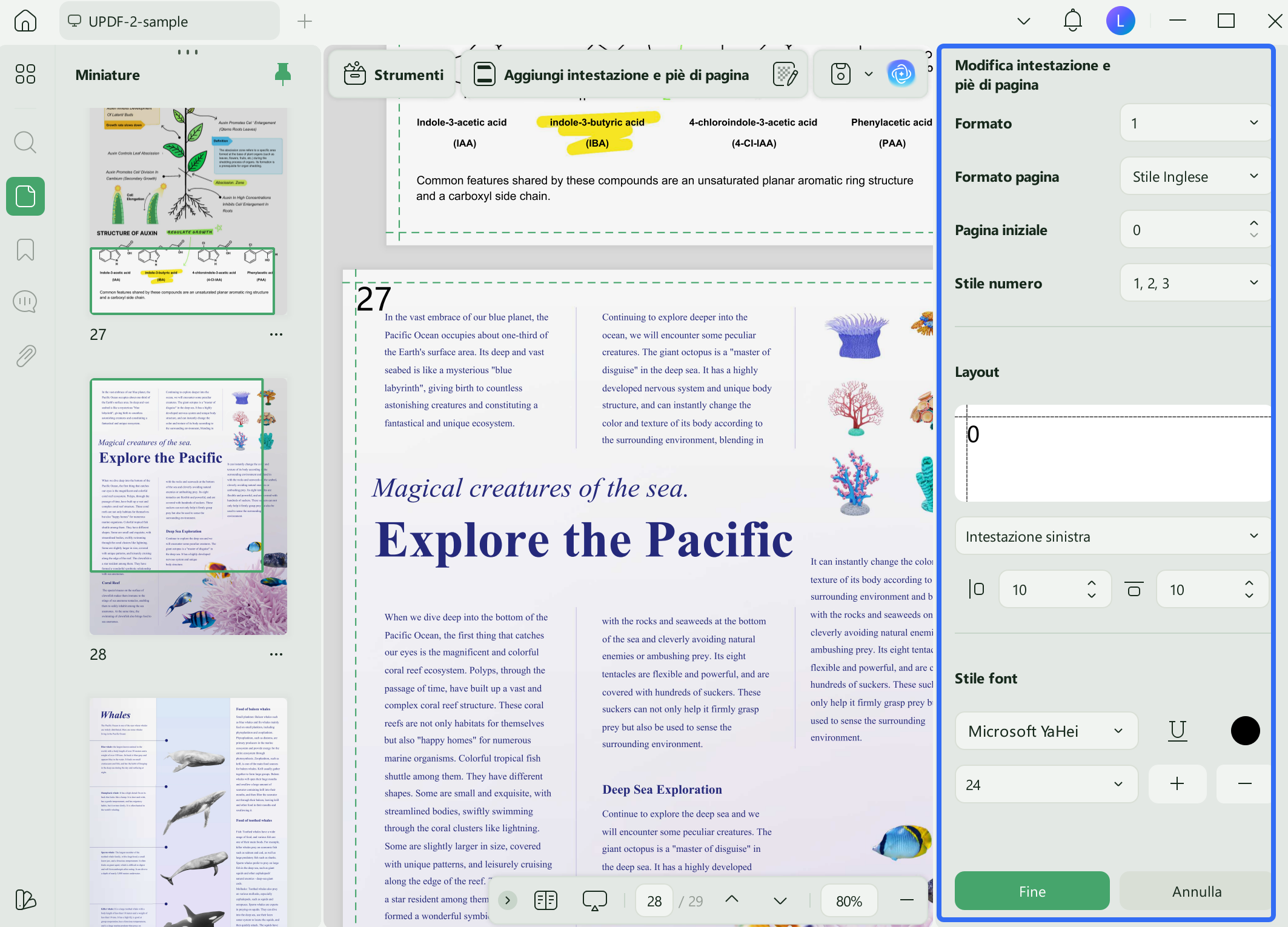 layout and title of header footer
