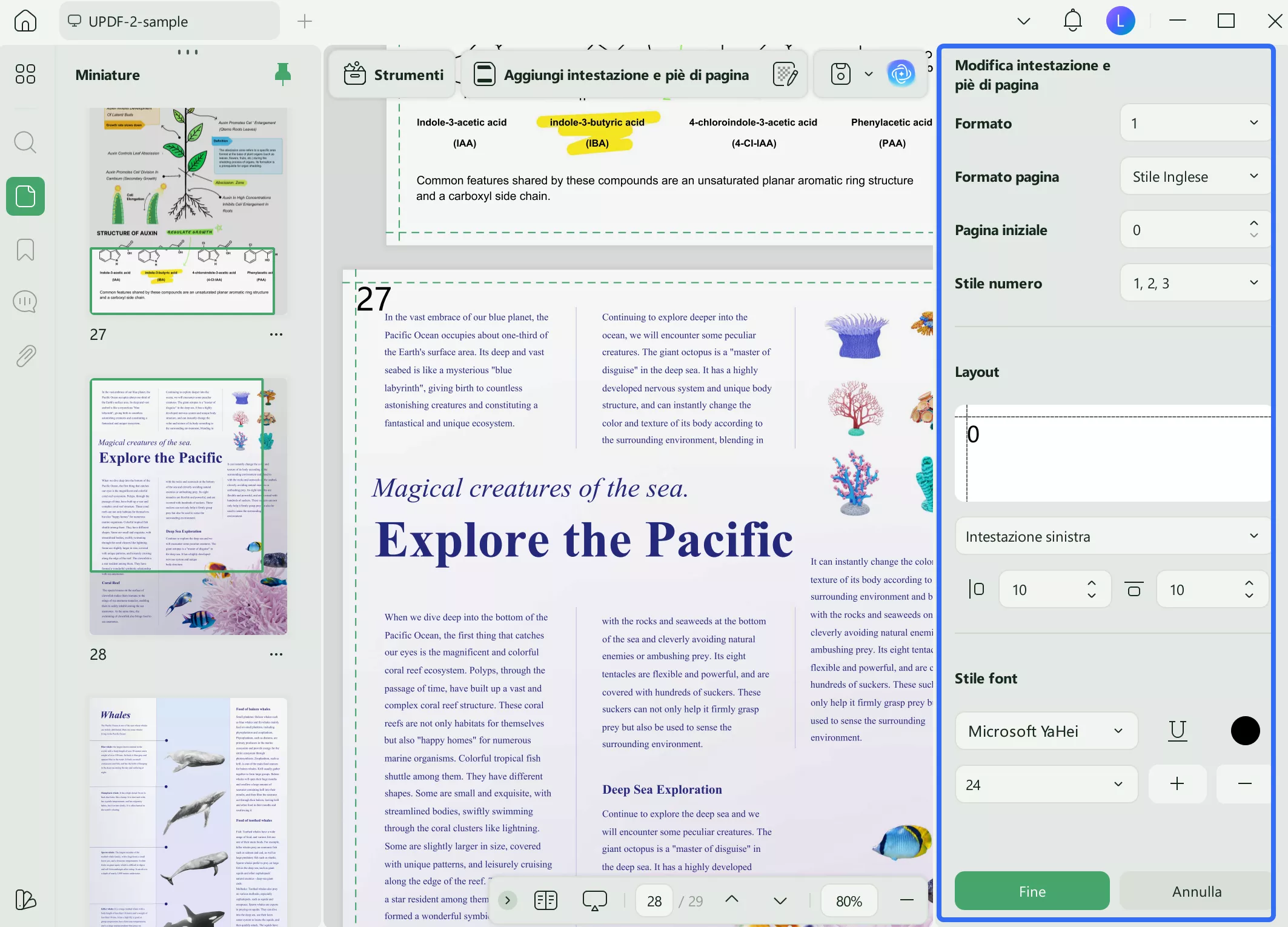 layout and title of header footer