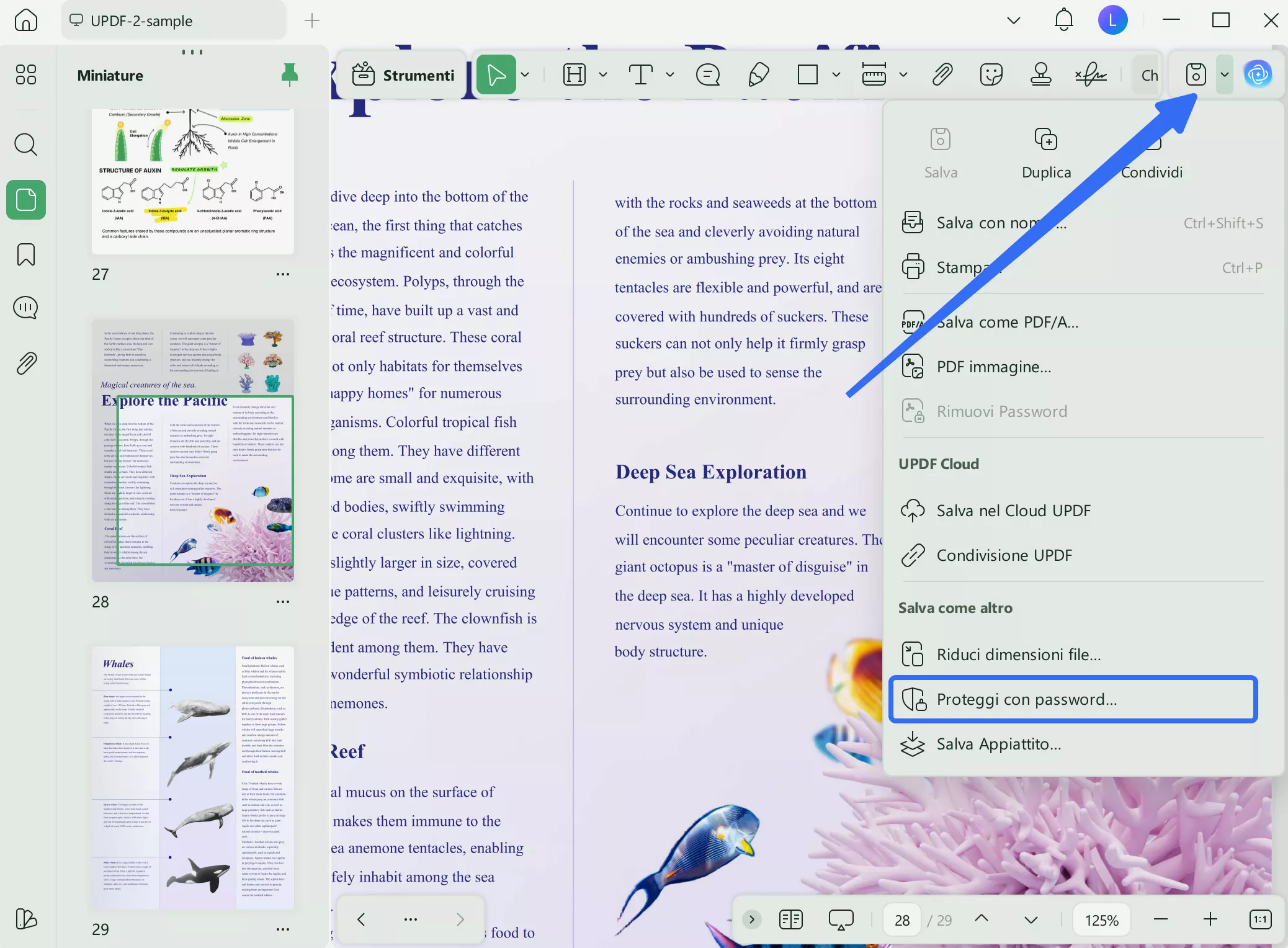 protect using password option updf windows 2