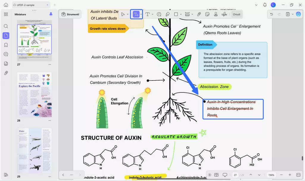 replace text windows 