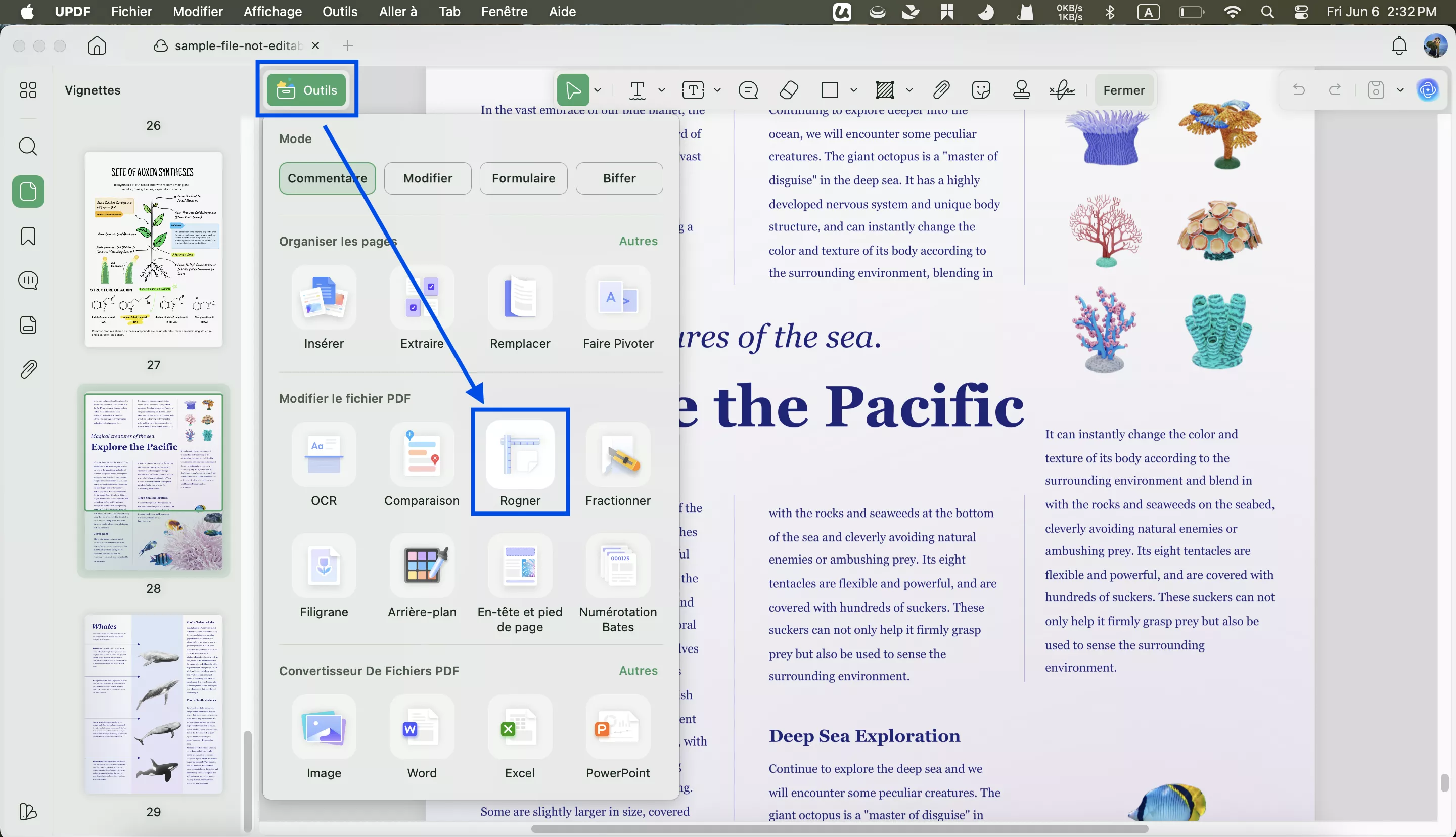 rogner un pdf