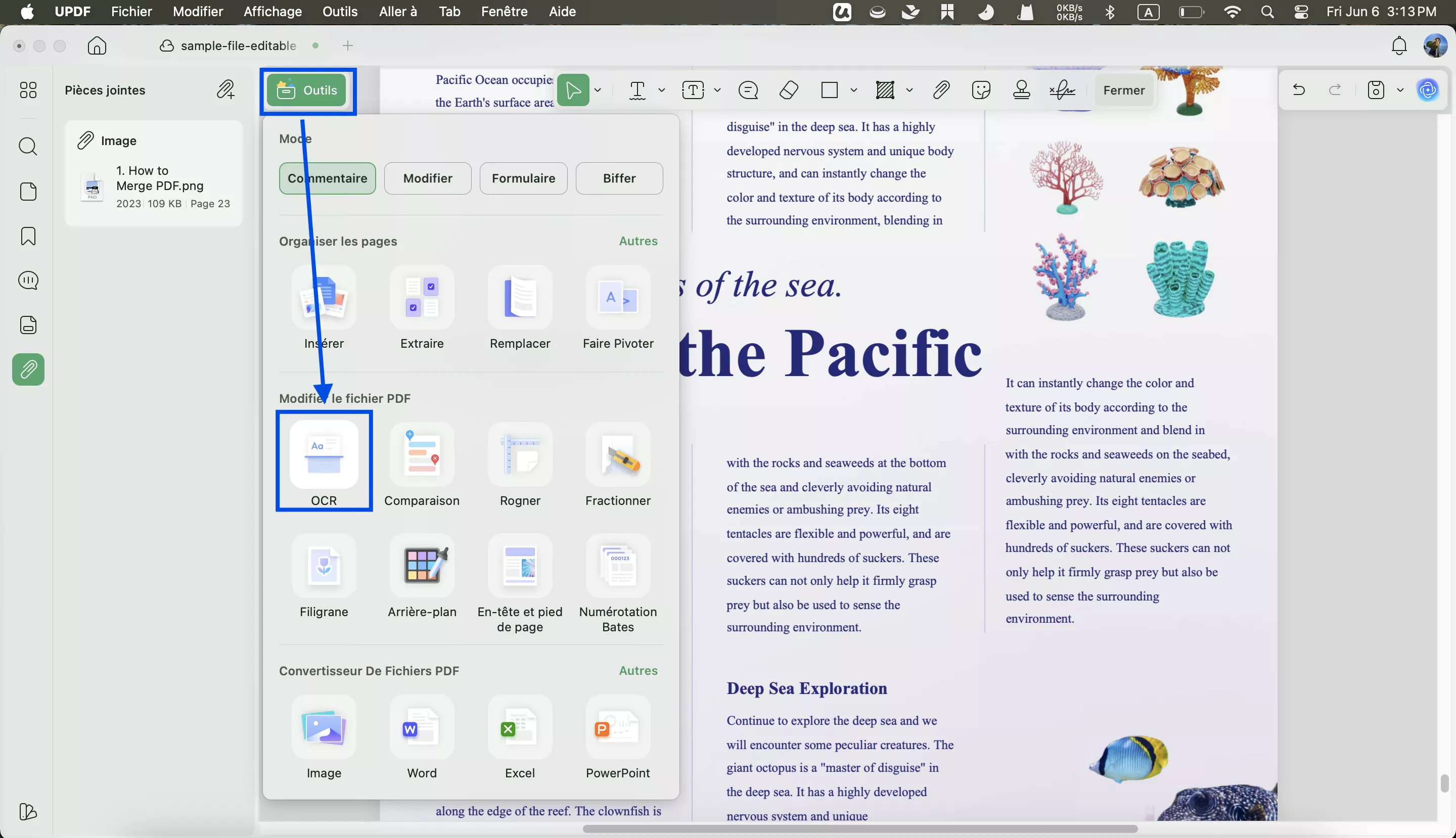 OCR PDF