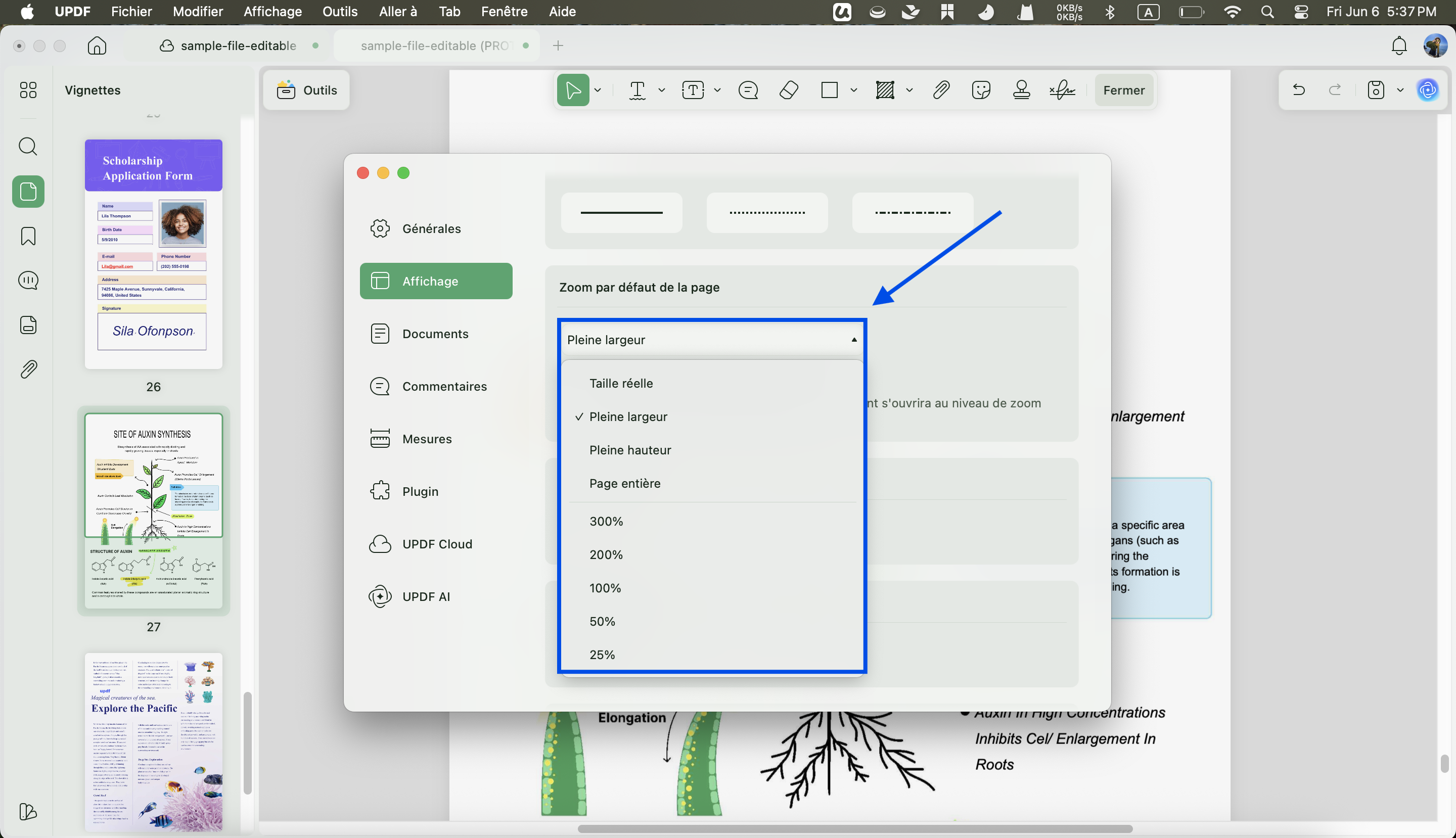 page par défaut zoom updf mac