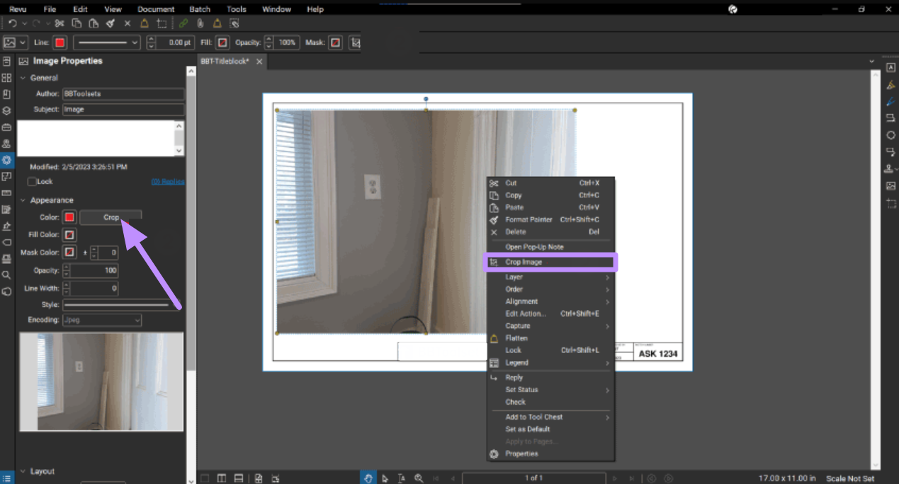 use bluebeam crop image feature