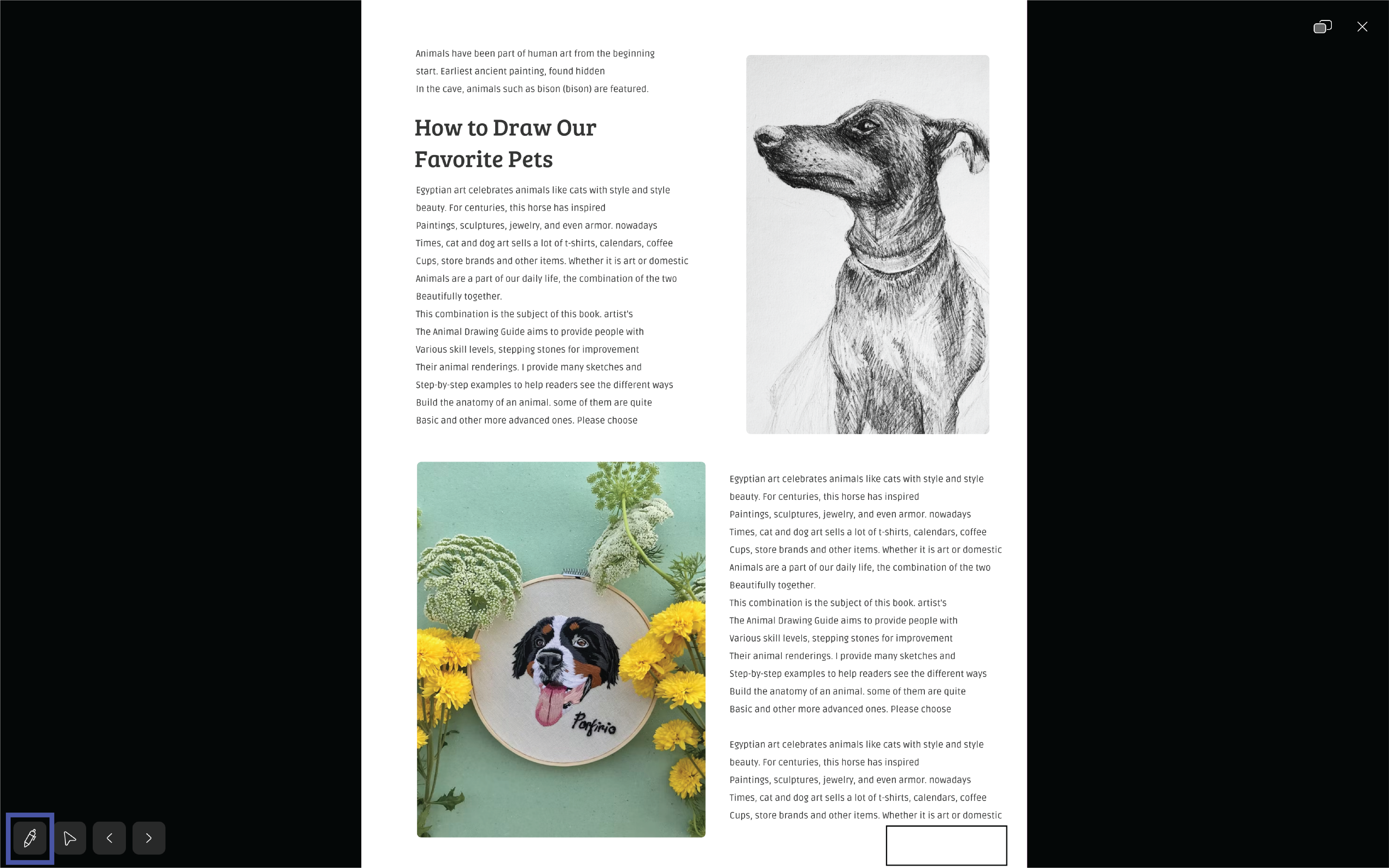 slideshow mode-pen tool