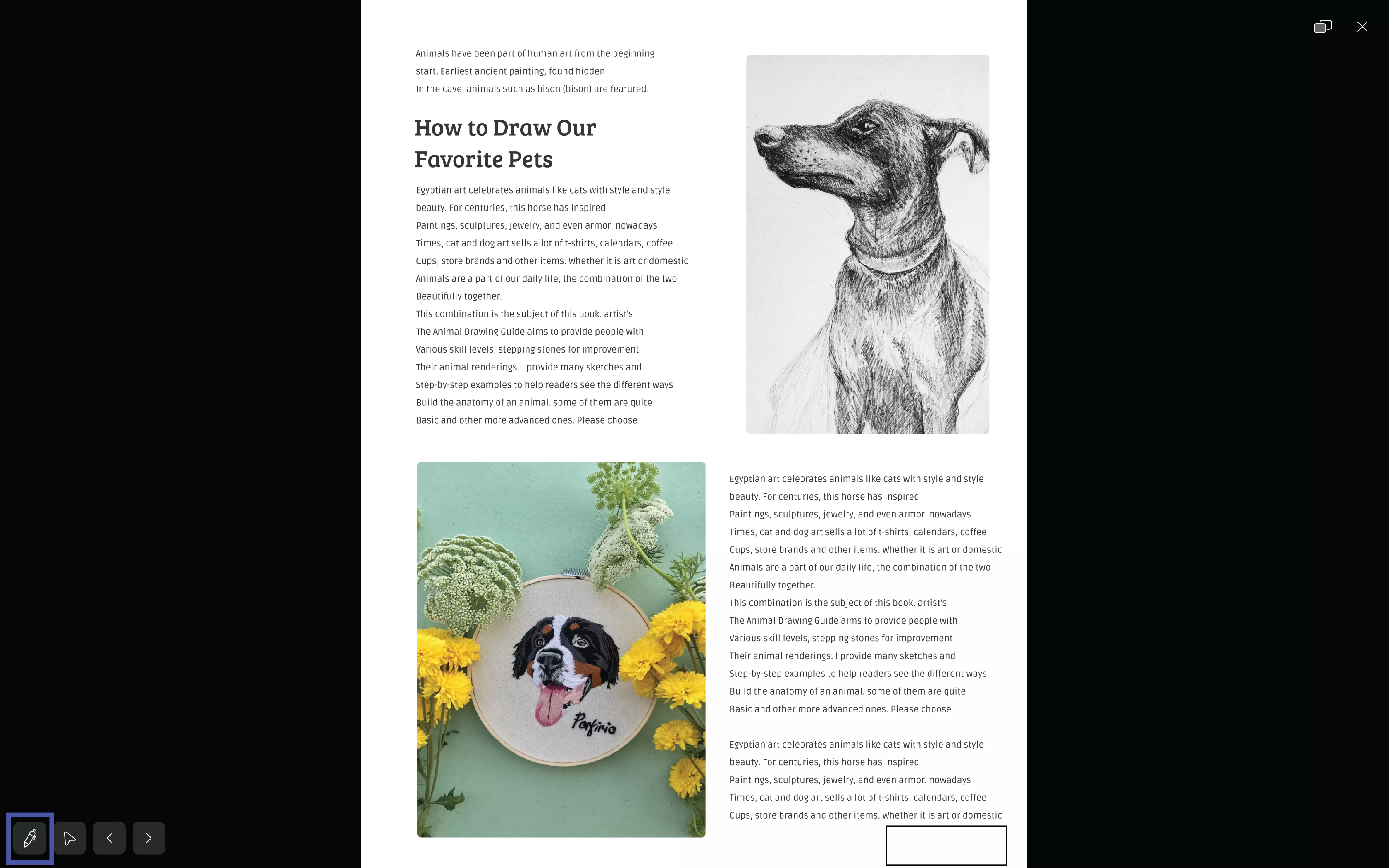 slideshow mode-pen tool