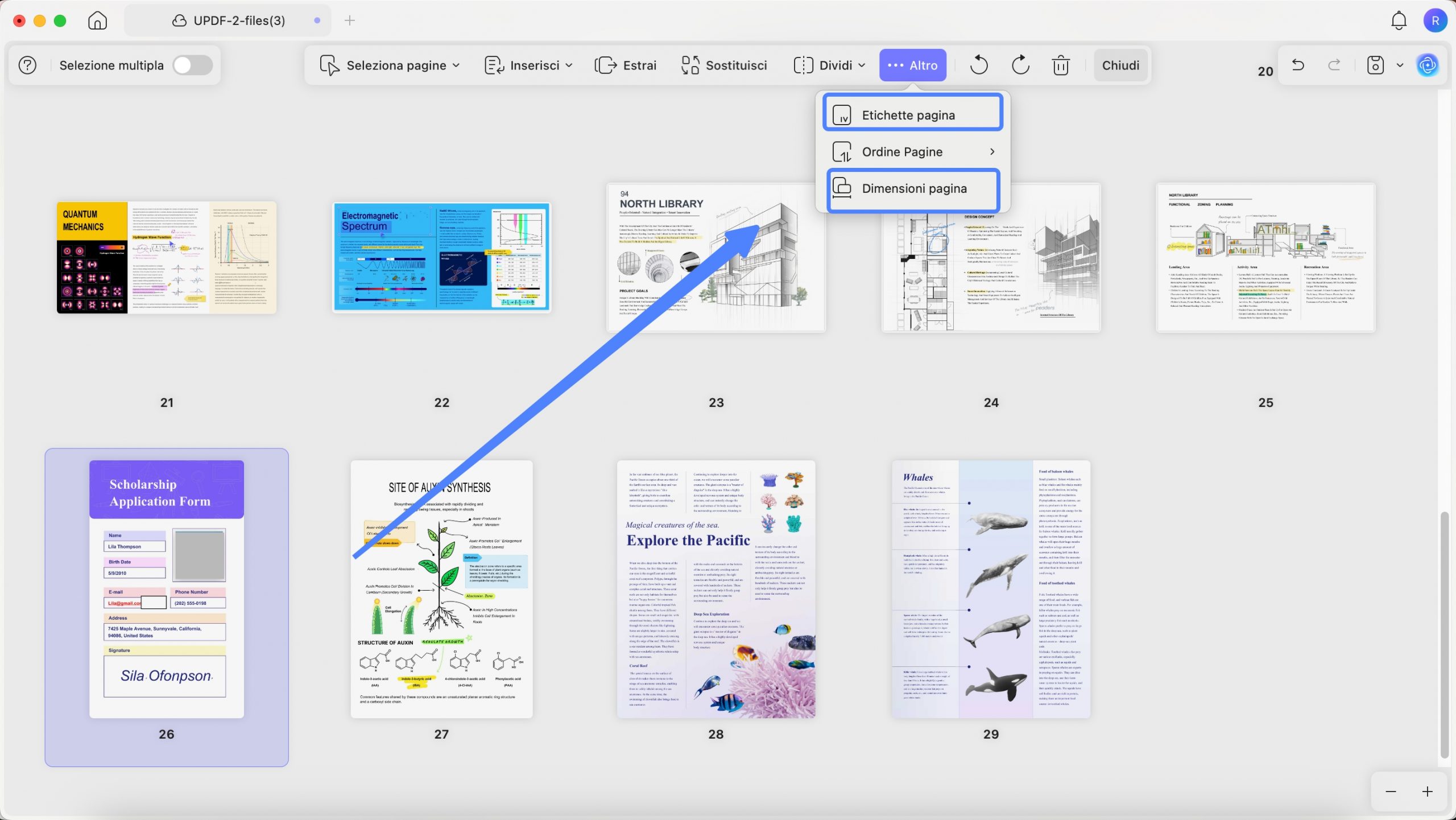 Page lable and page size with updf mac 2