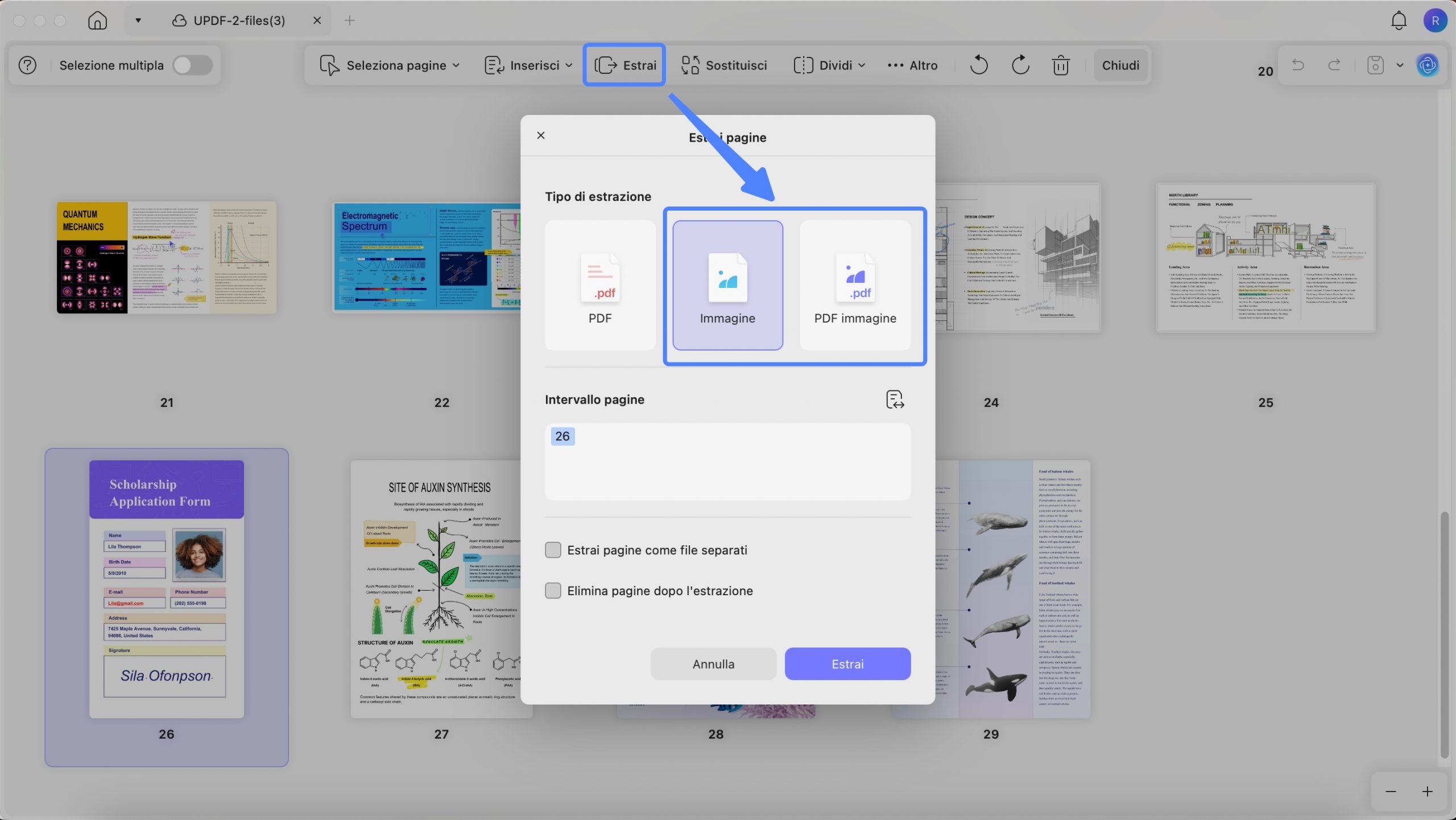 Extract pages as image files or image based PDF