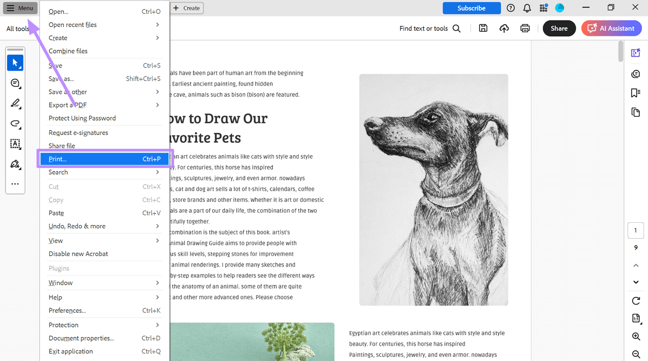 access the print dialog box acrobat