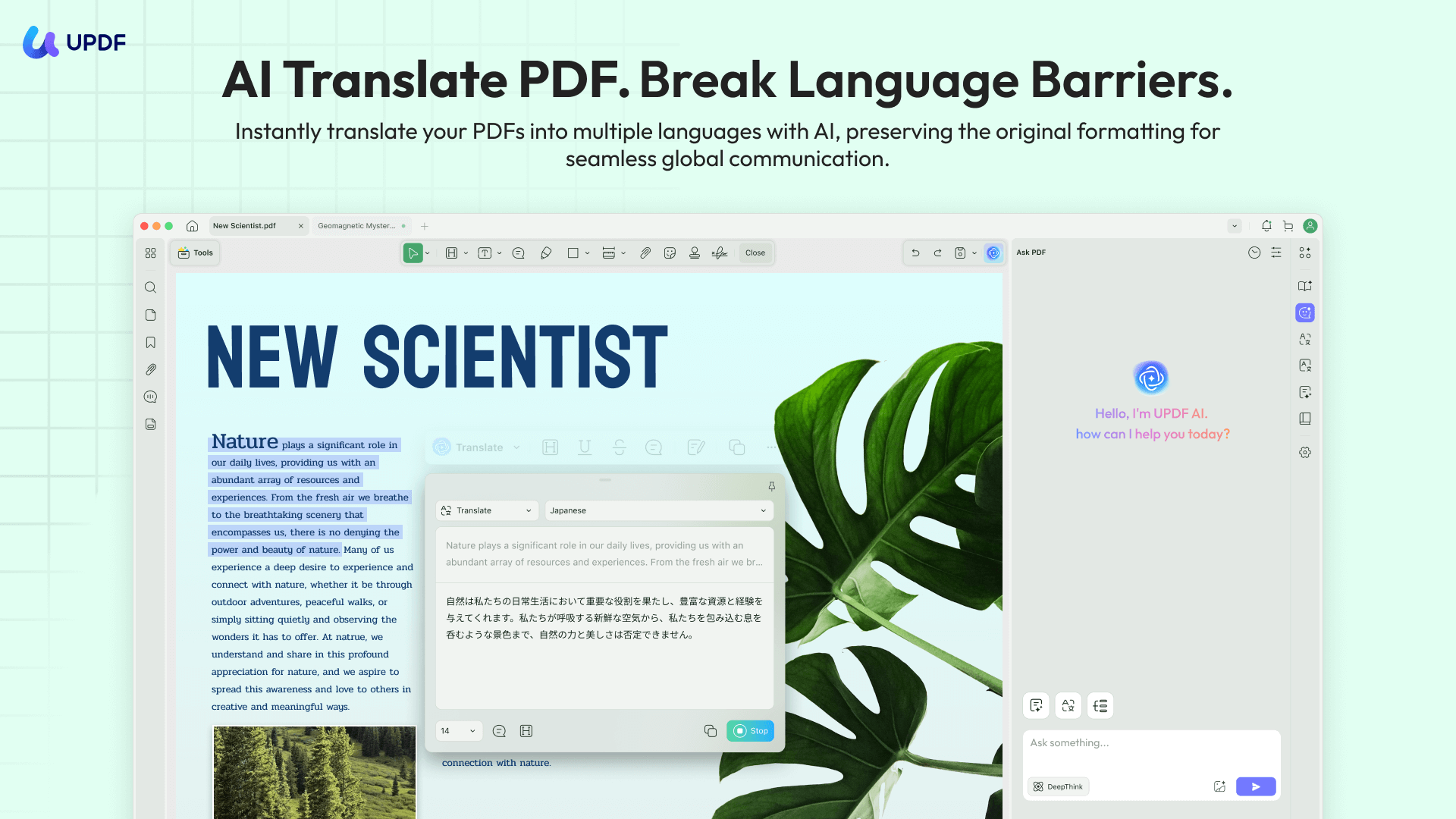 translate pdf