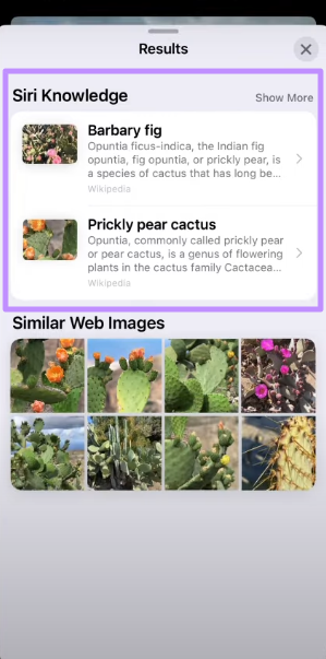 analyze siri knowledge section