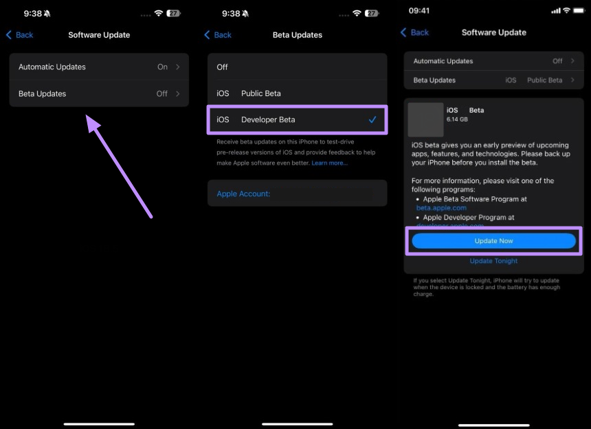 choisissez la version bêta du développeur iOS et mettez à jour