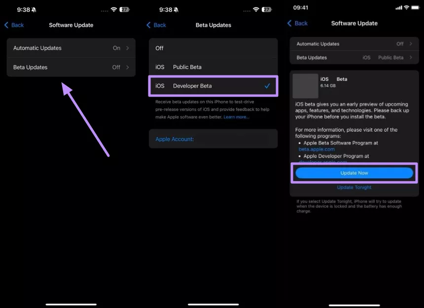 choose ios developer beta and update